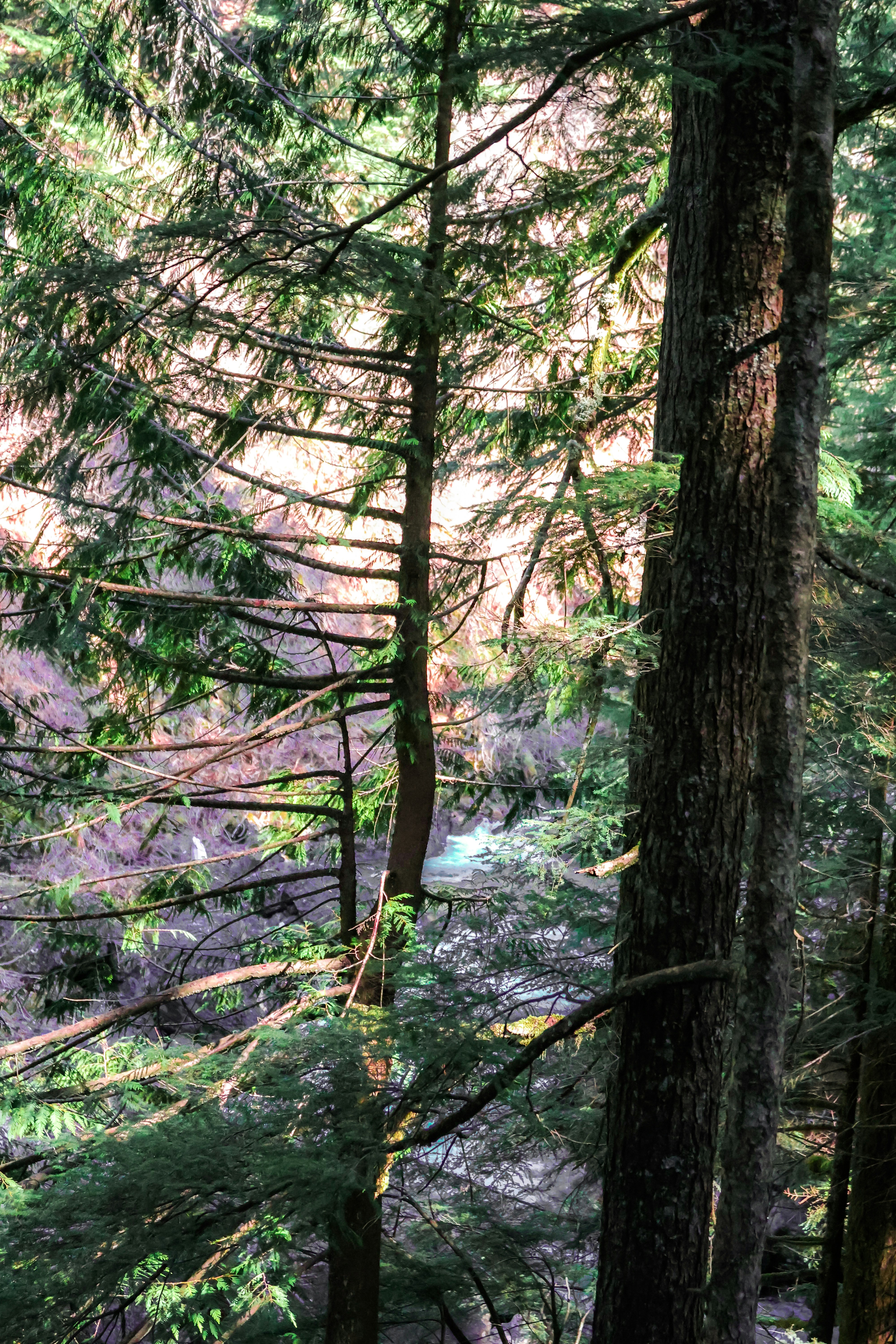 Photo by traveleroohlala