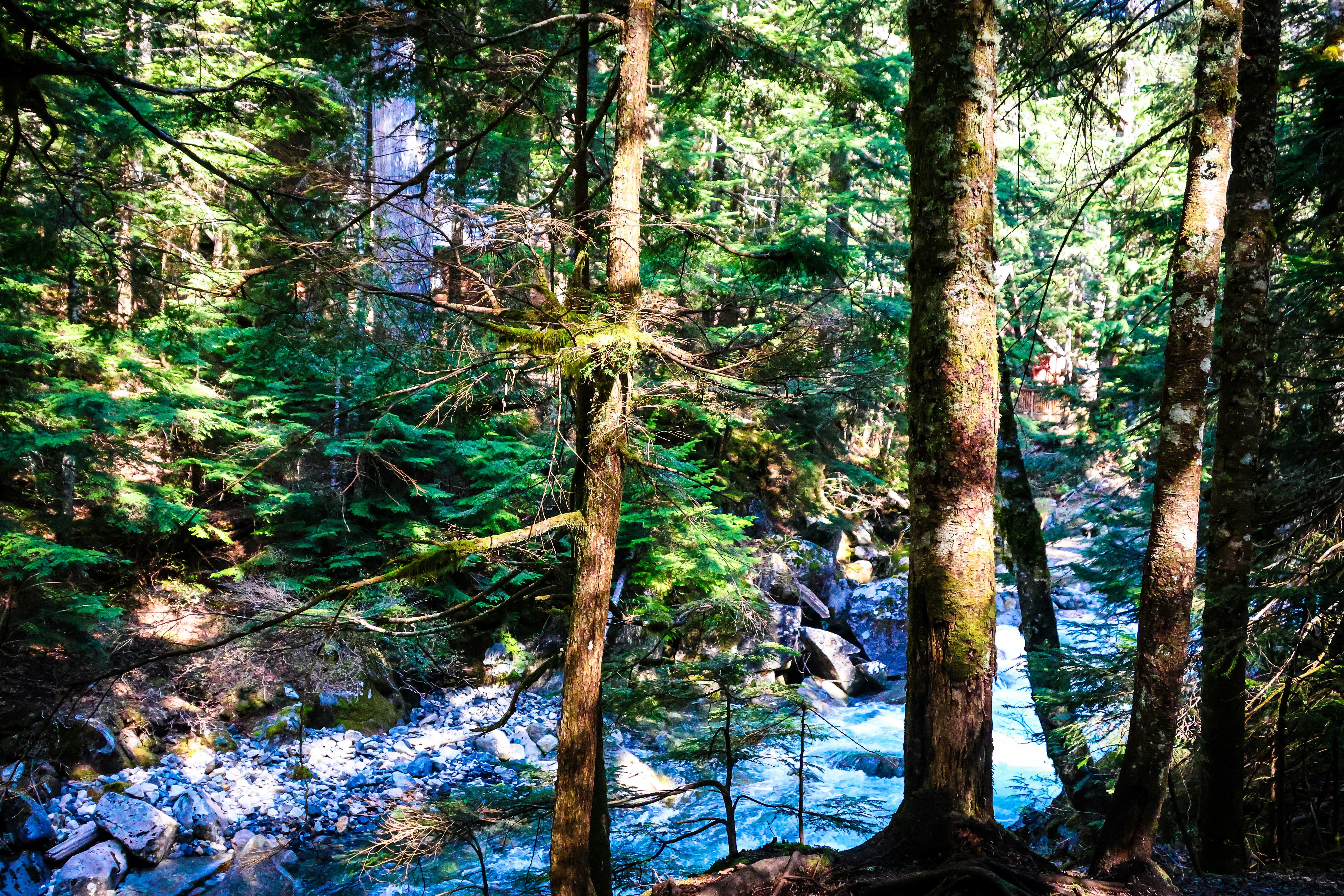 Photo by traveleroohlala