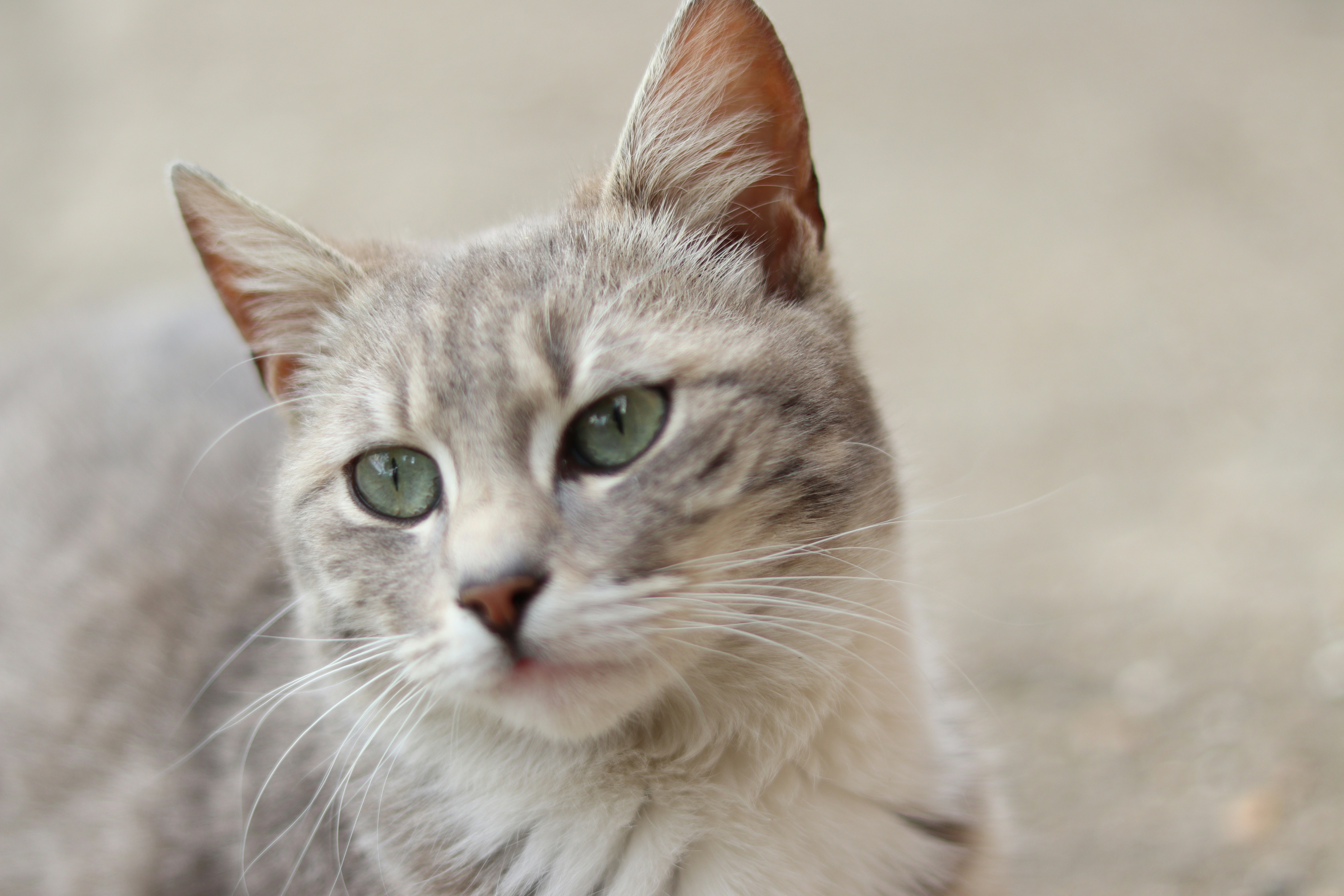 Photo by fotografialuivlad