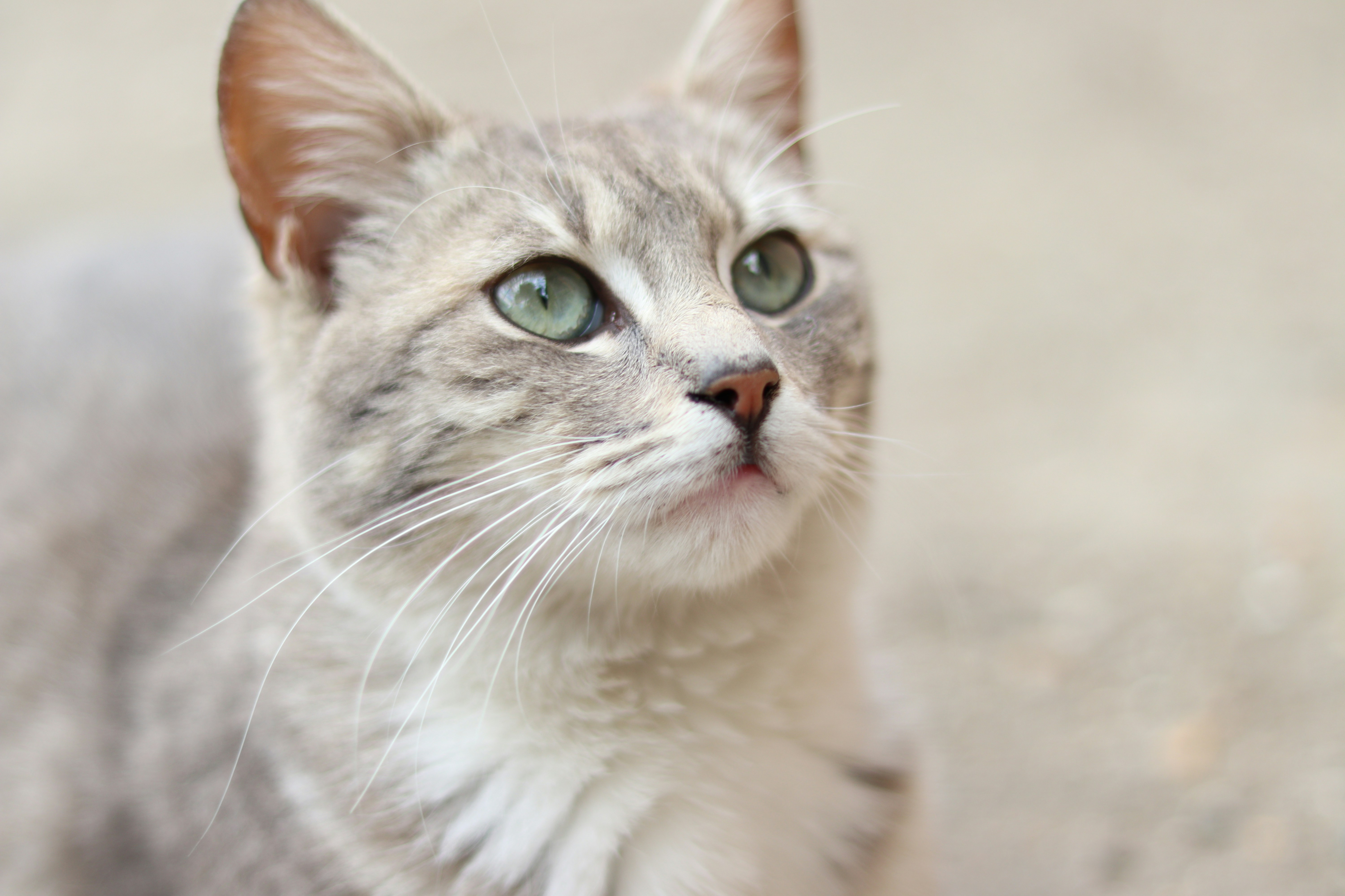 Photo by fotografialuivlad