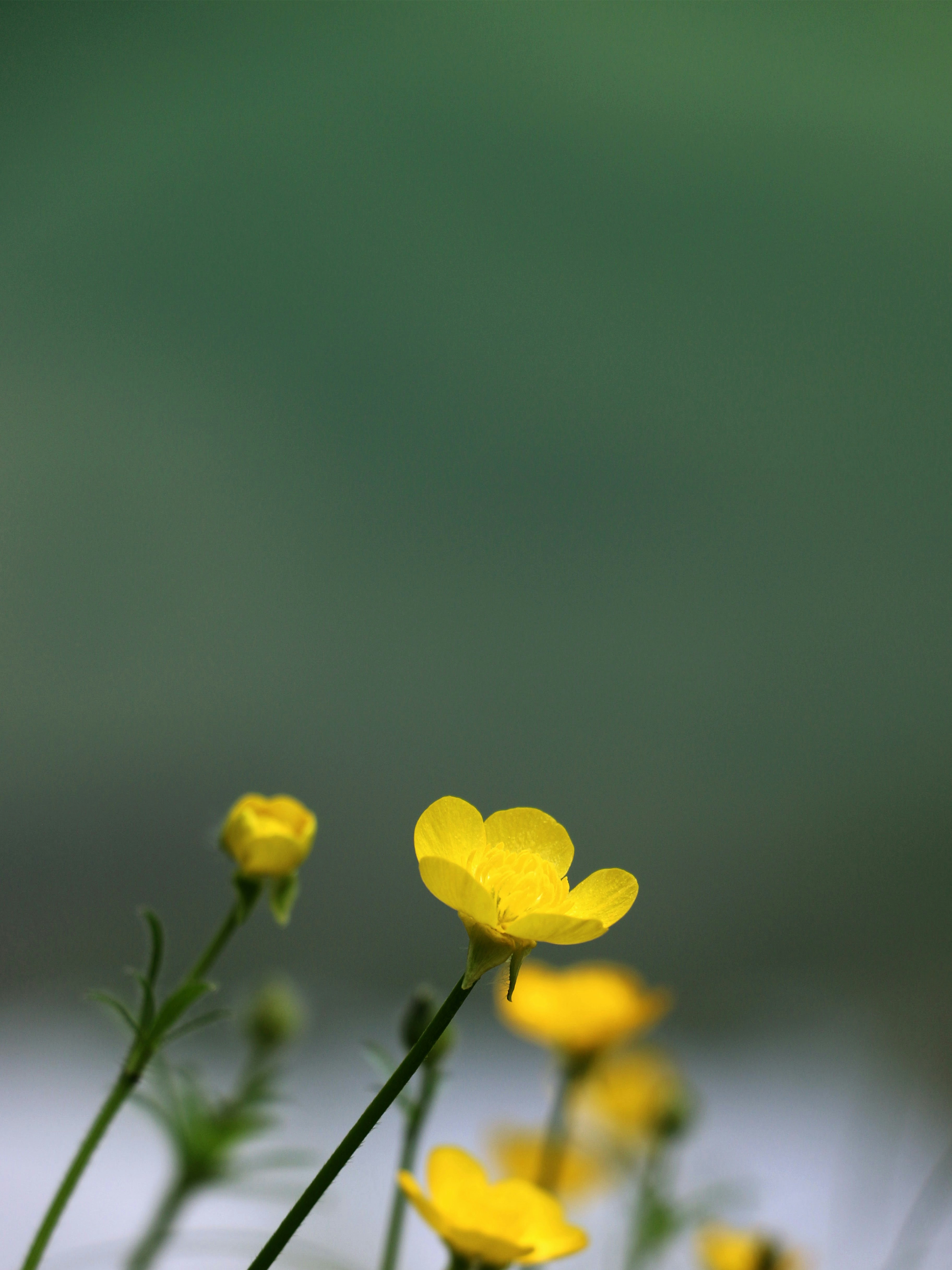Photo by omaruzza