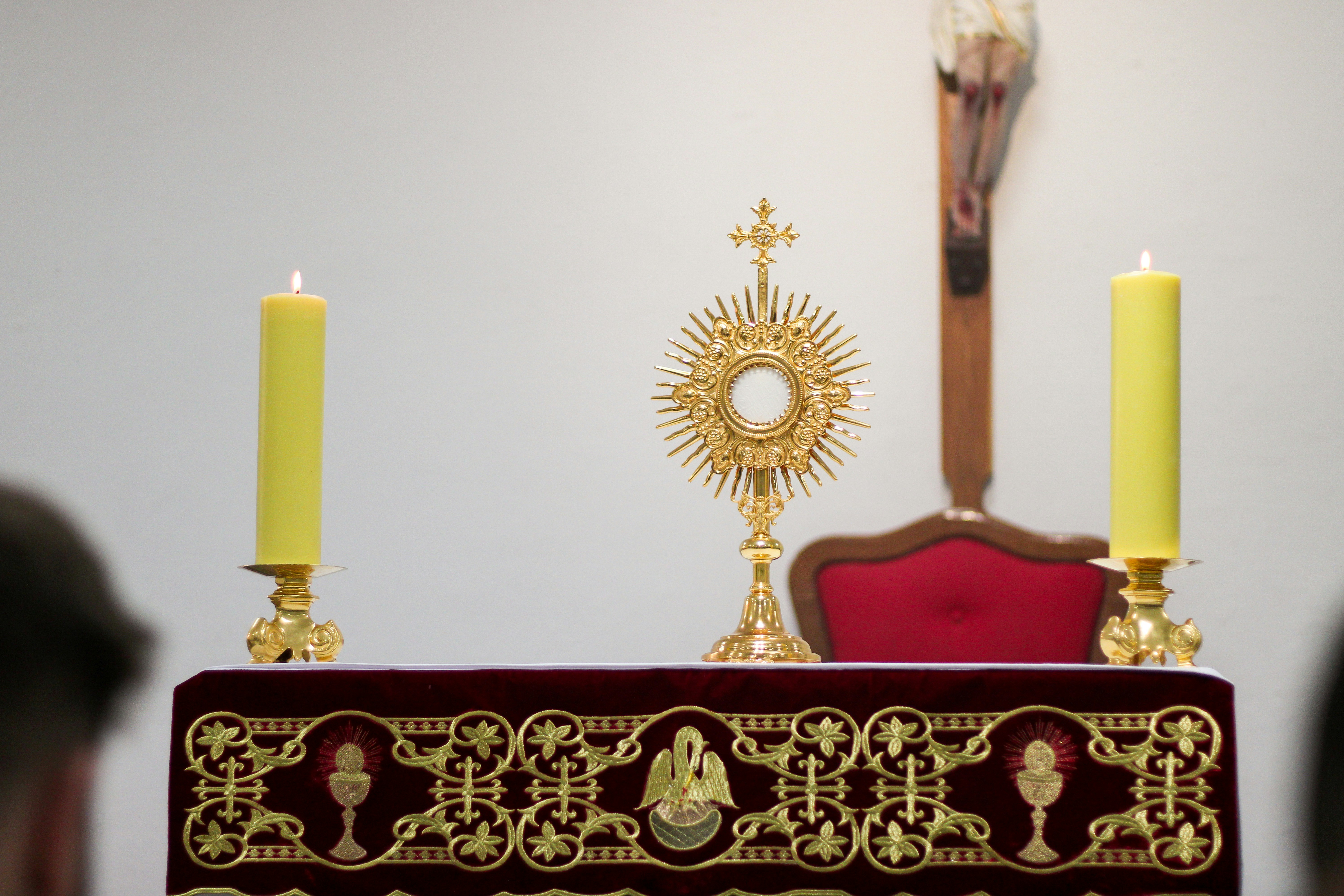 Photo by raphabenevides2023