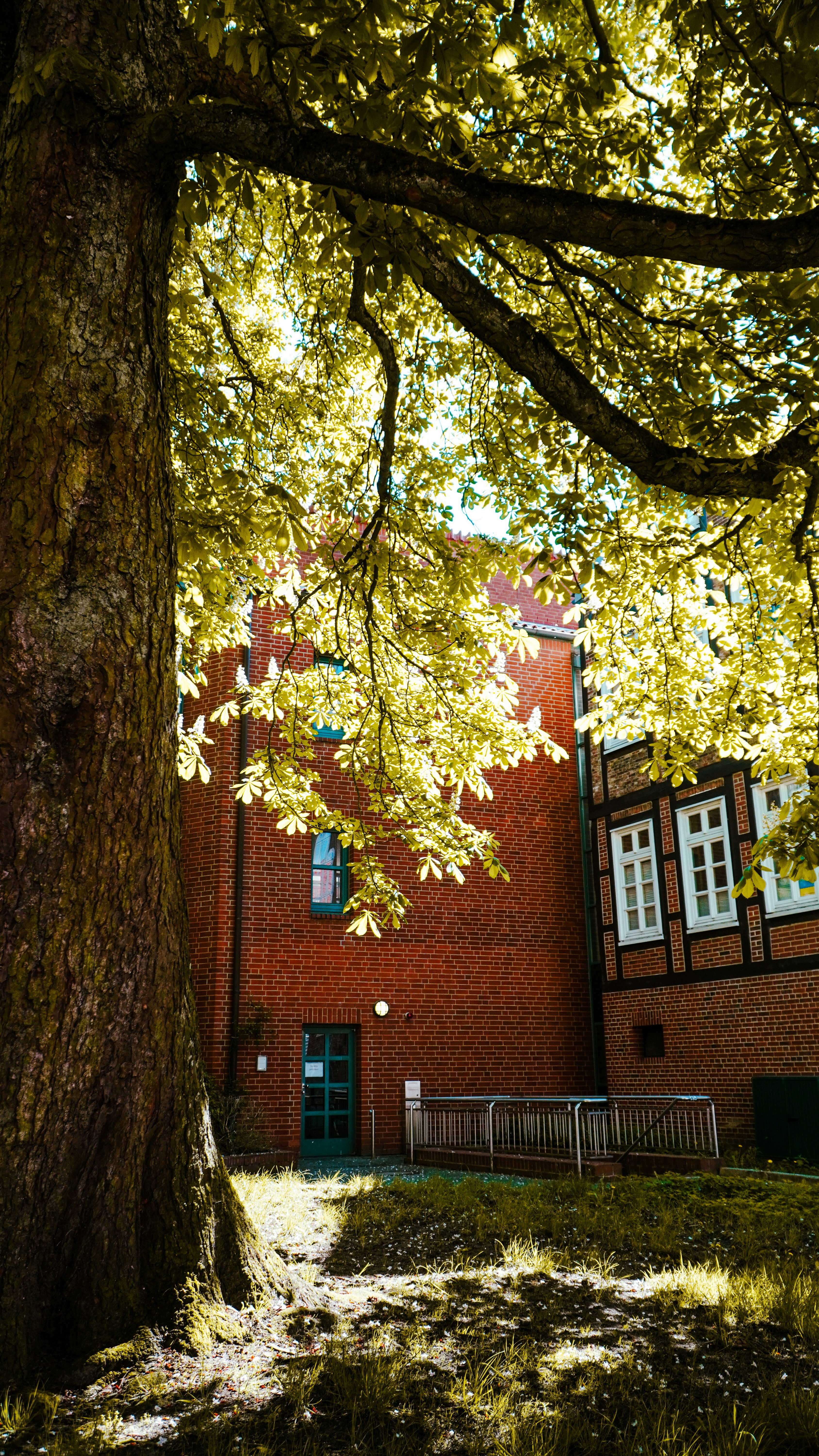 Photo by adityasegan