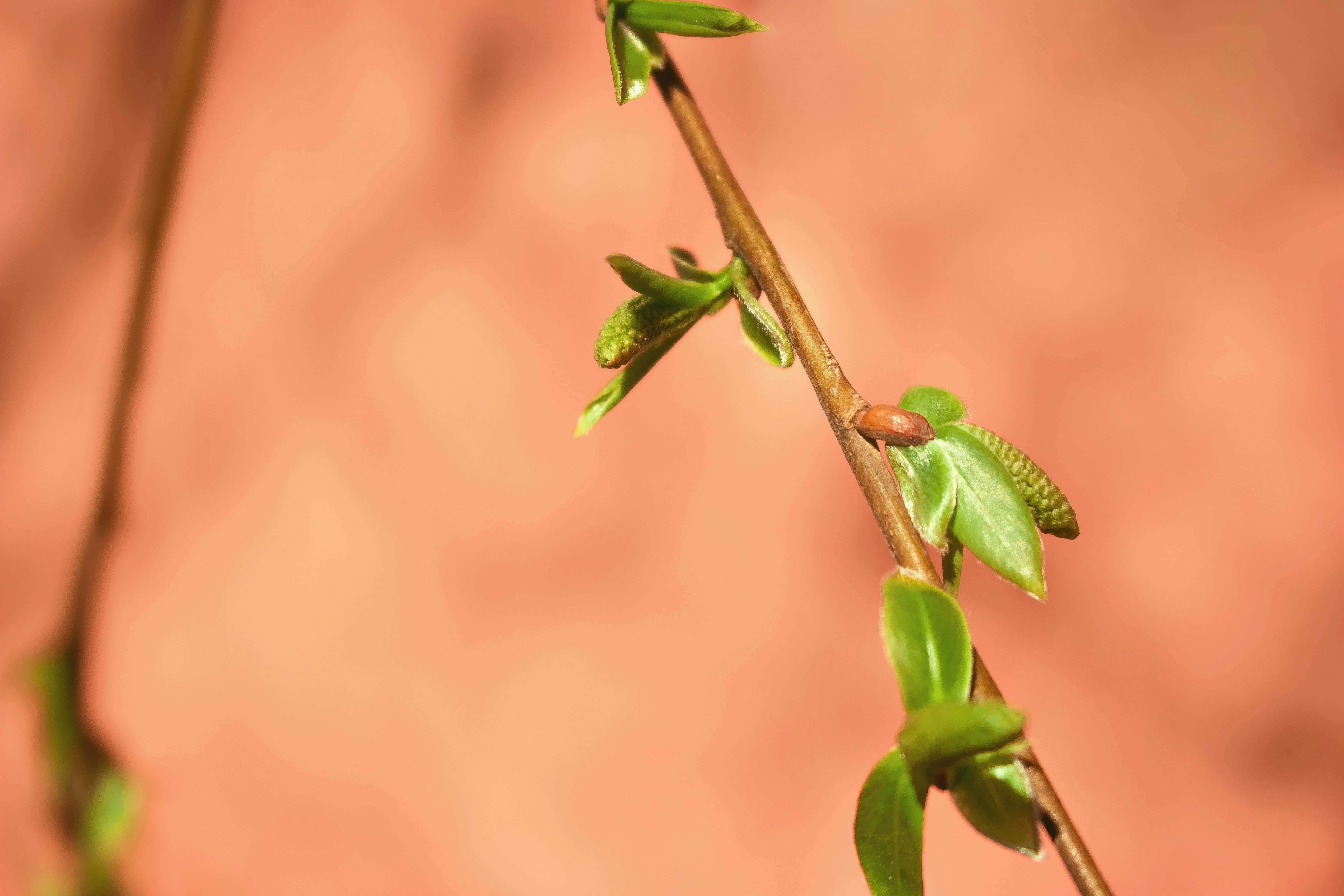 Photo by katherine1690