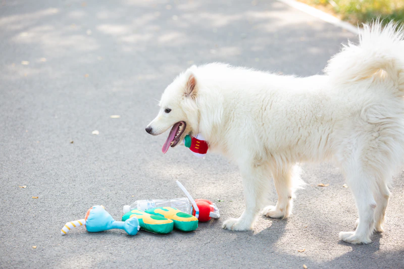 Best Dog Toys for Aggressive Chewers: Indestructible Dog Toys That Actually Last