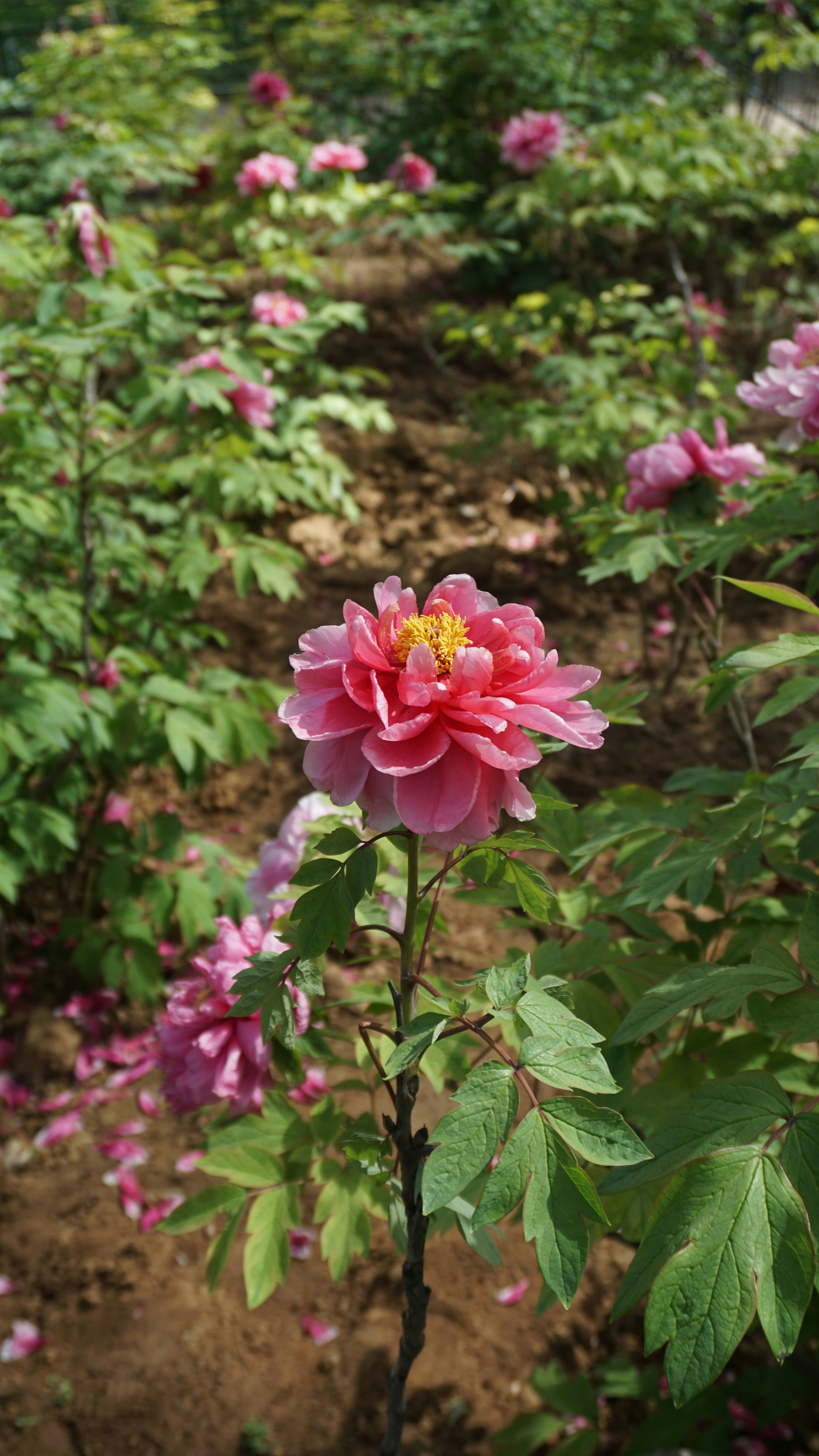 Photo by dontdenyyour_9