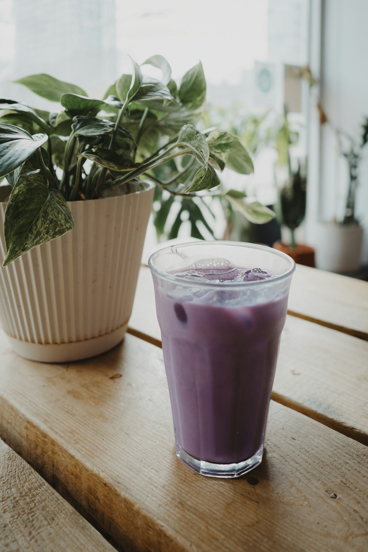 Violetter Eisdrink mit Eiswürfeln in einem Glas auf einem Holztisch, daneben eine Zimmerpflanze