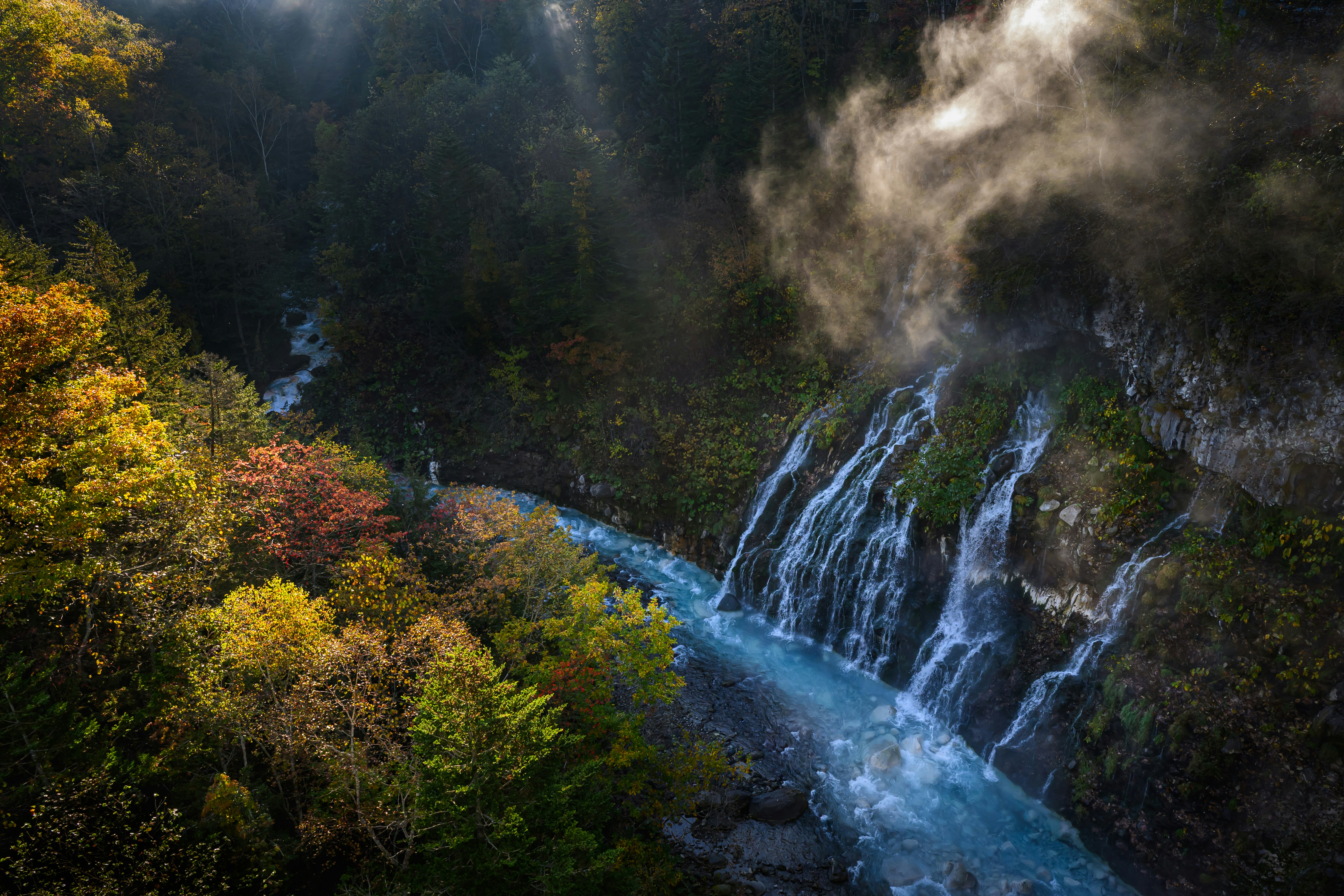 A serene waterfall flows through a forest.