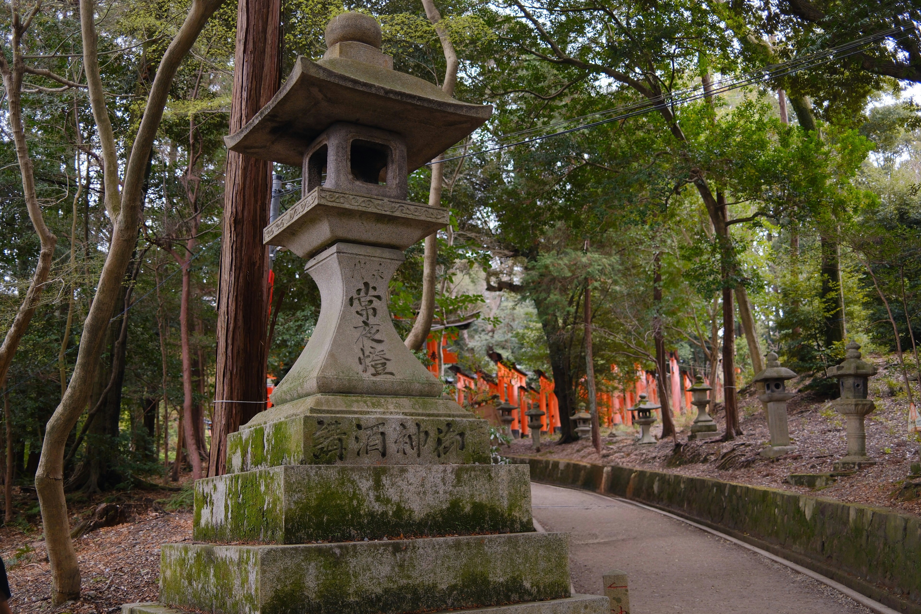 Where to Stay Near Fushimi Inari for Easy Access Japan