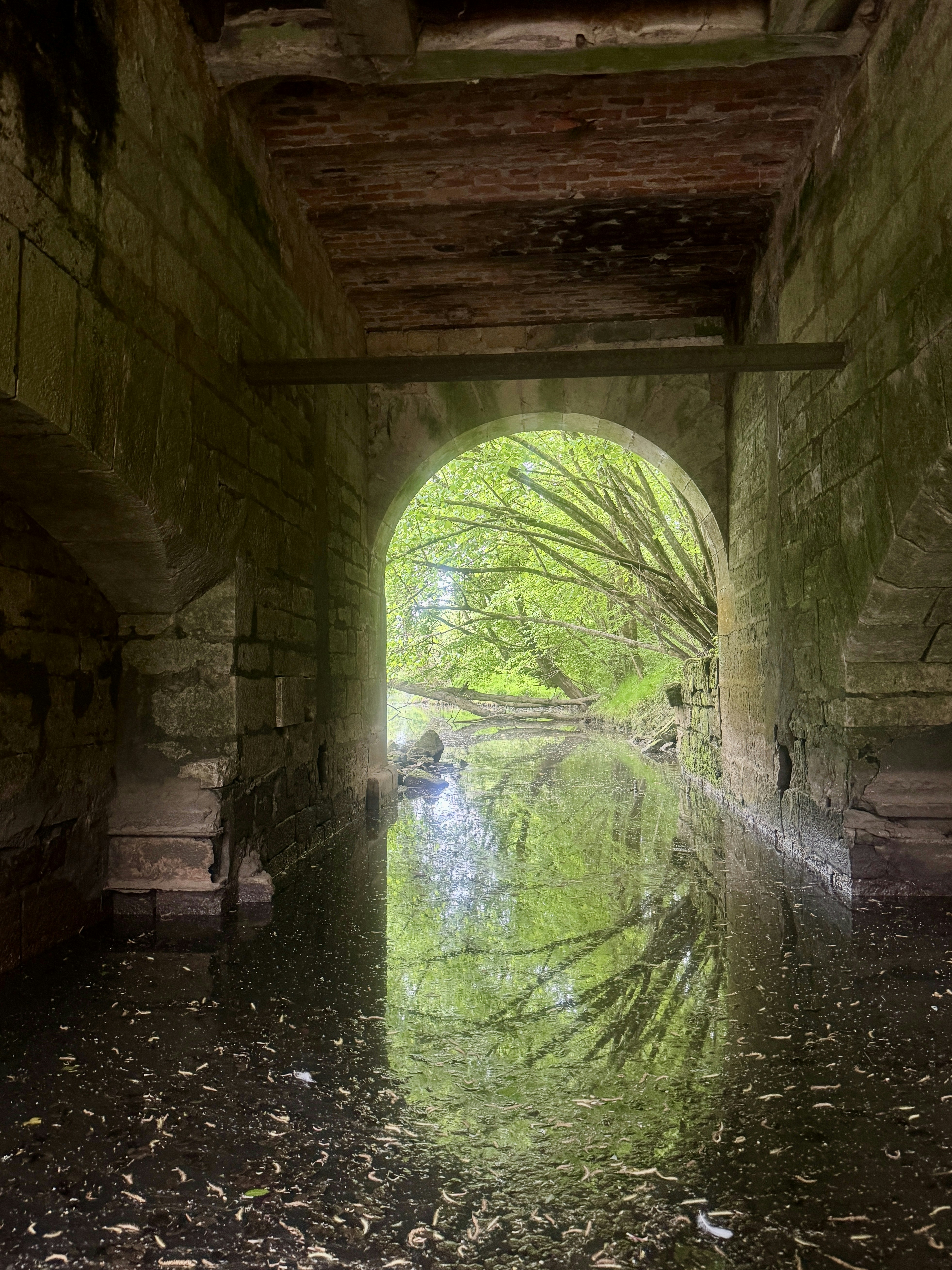 An archway leads to lush greenery and water.