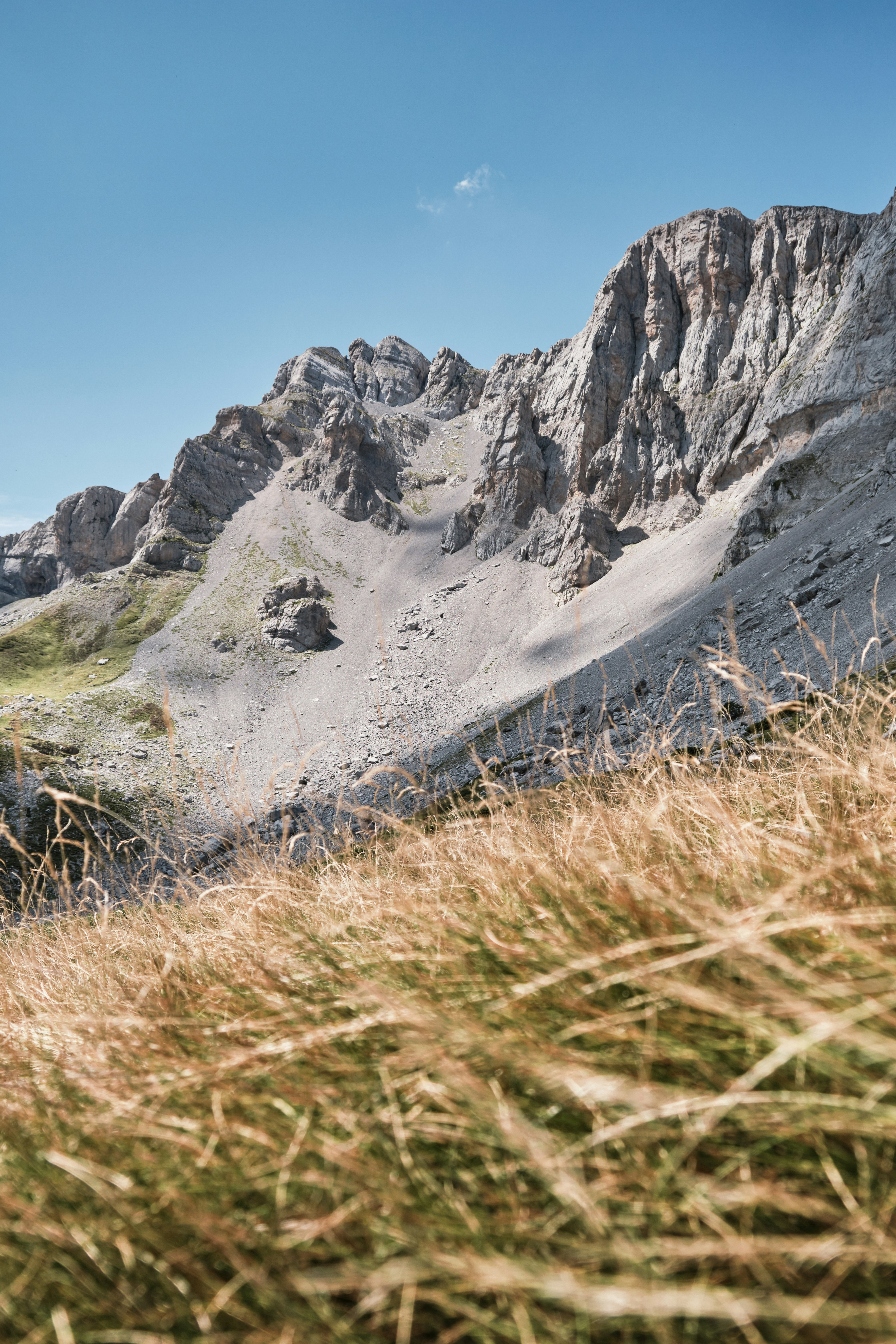Las montañas se elevan sobre los campos dorados y el cielo azul.