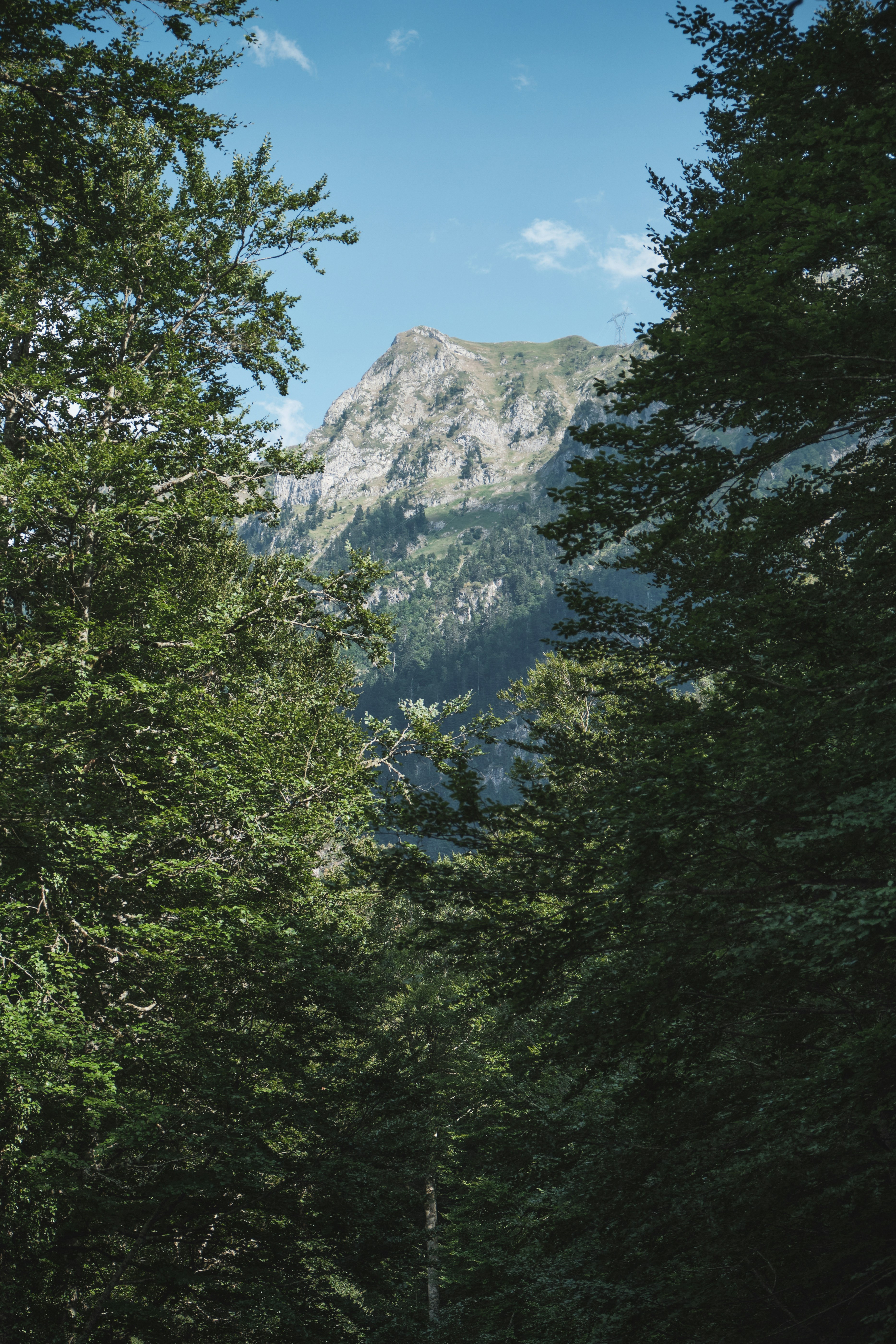 Pico de la montaña enmarcado por exuberantes árboles verdes.