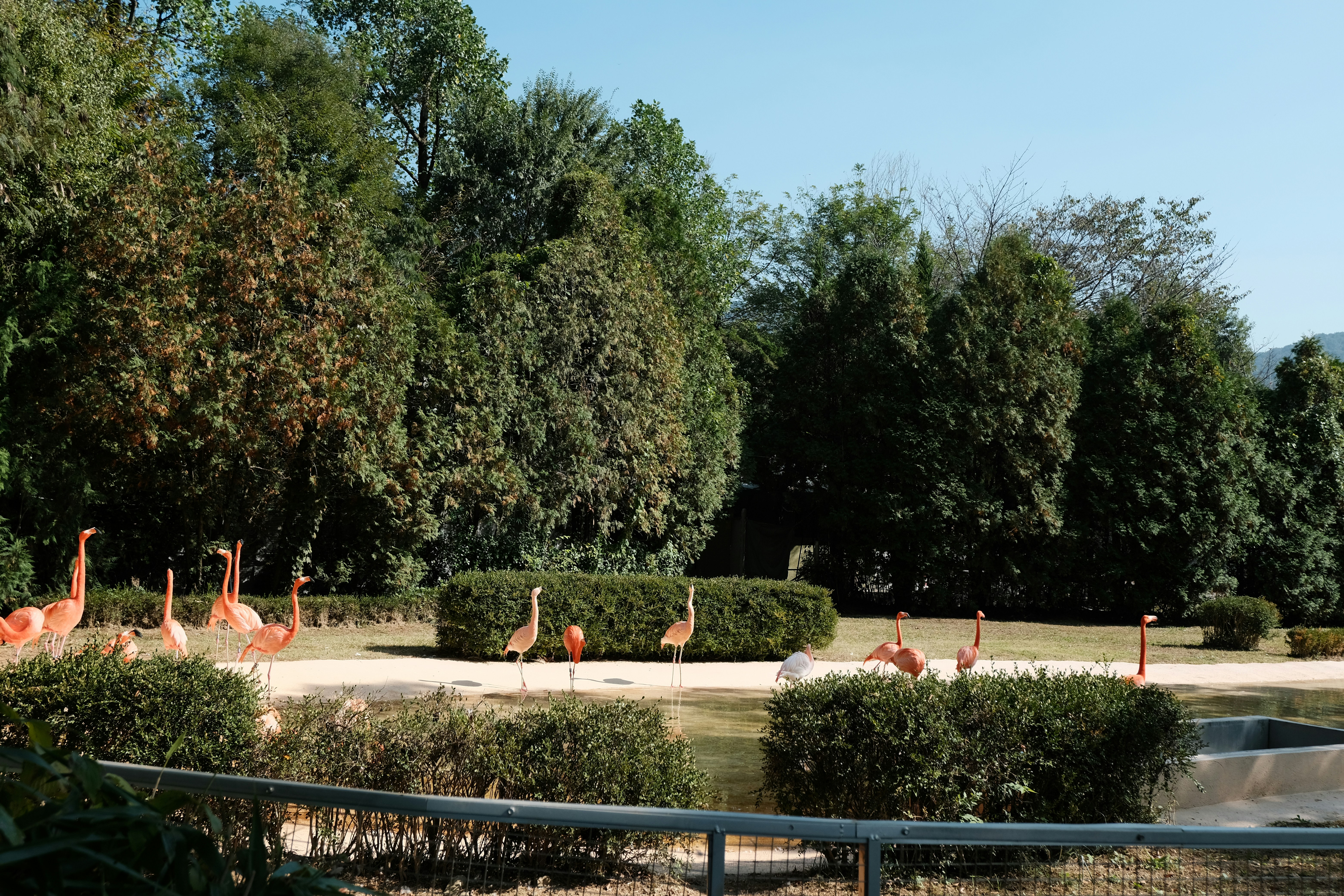 Wilhelma Zoo and Botanical Garden photo 3