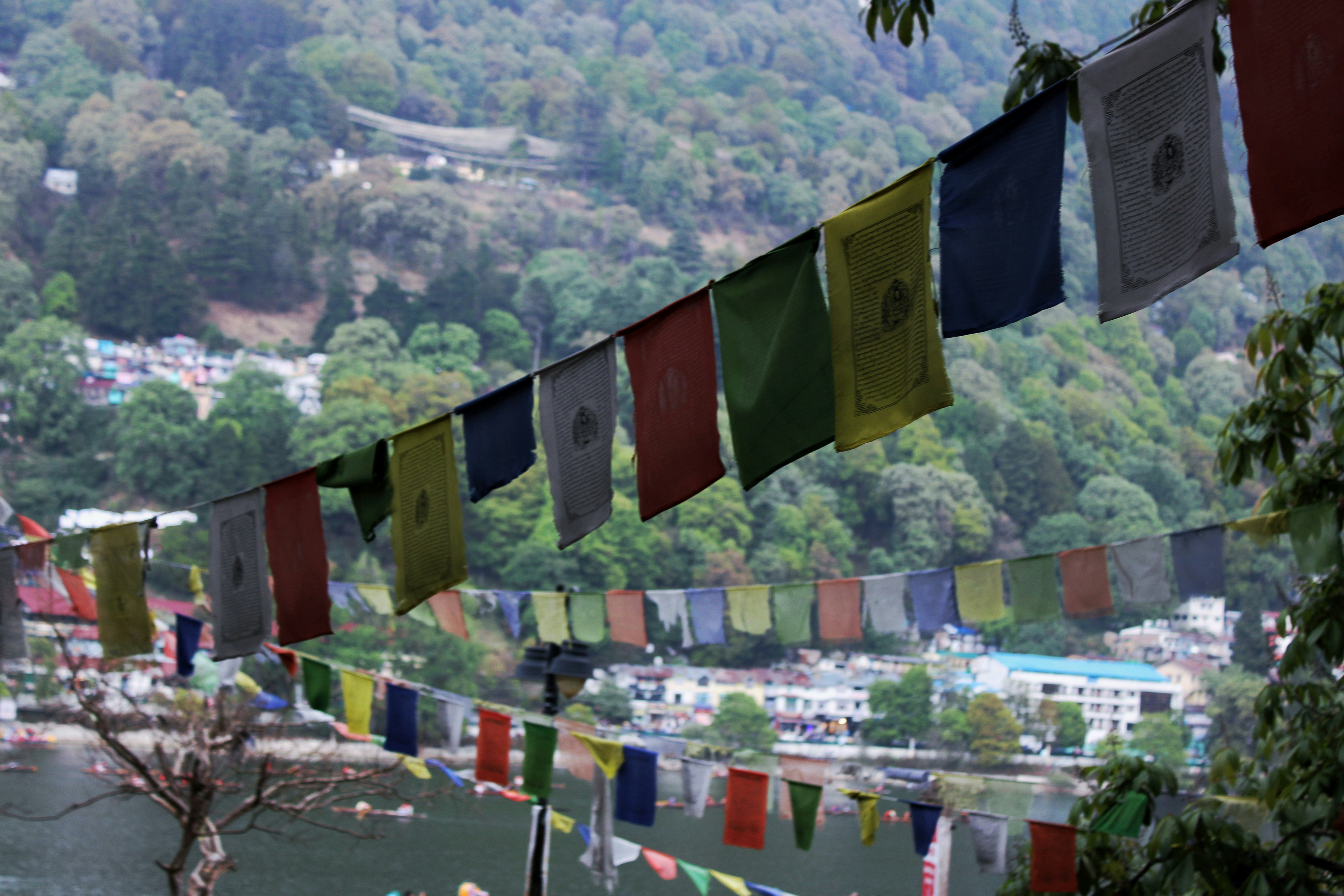 Photo by nitish_narayan