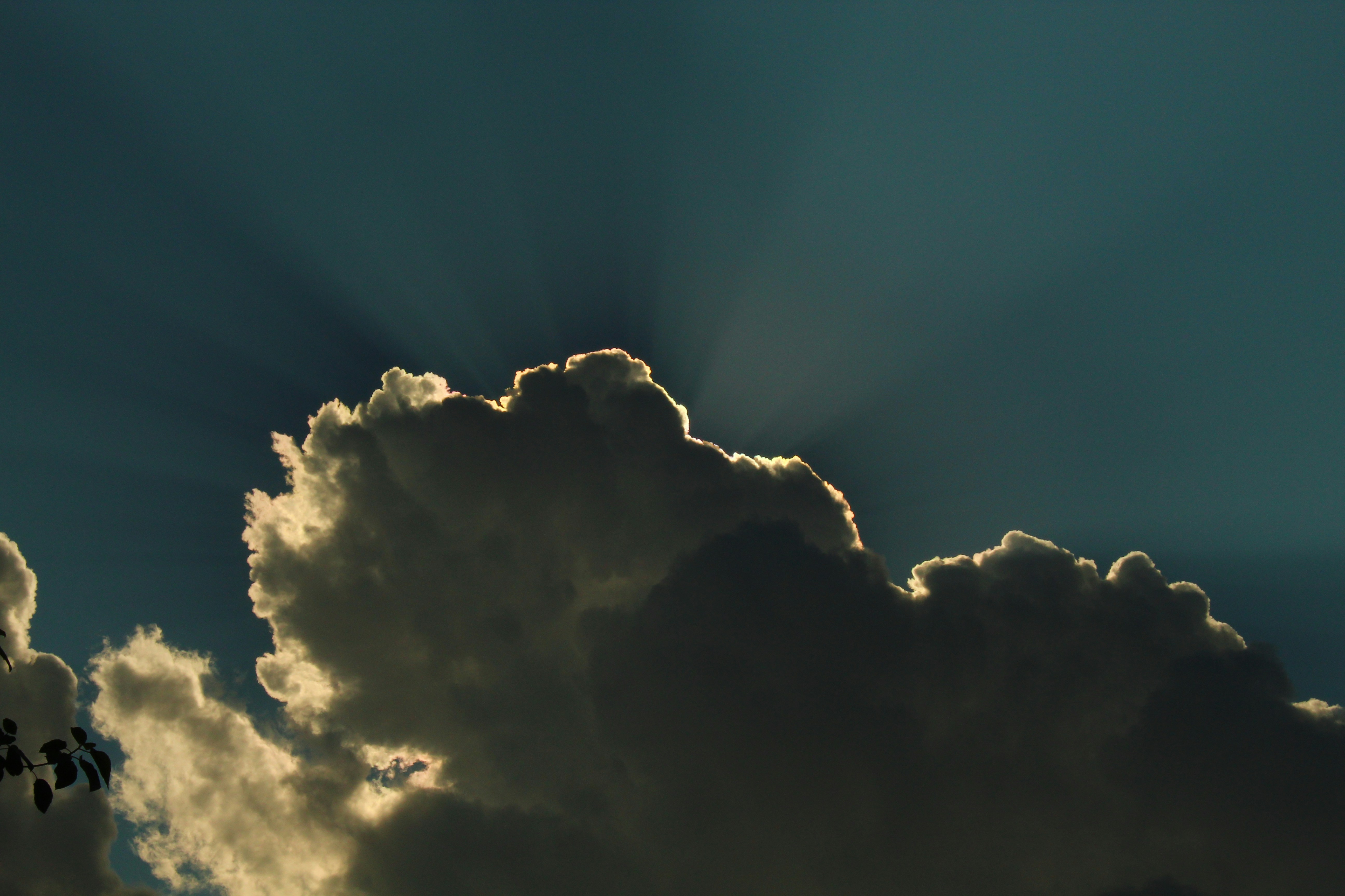 Photo by swastikchakraborty1203