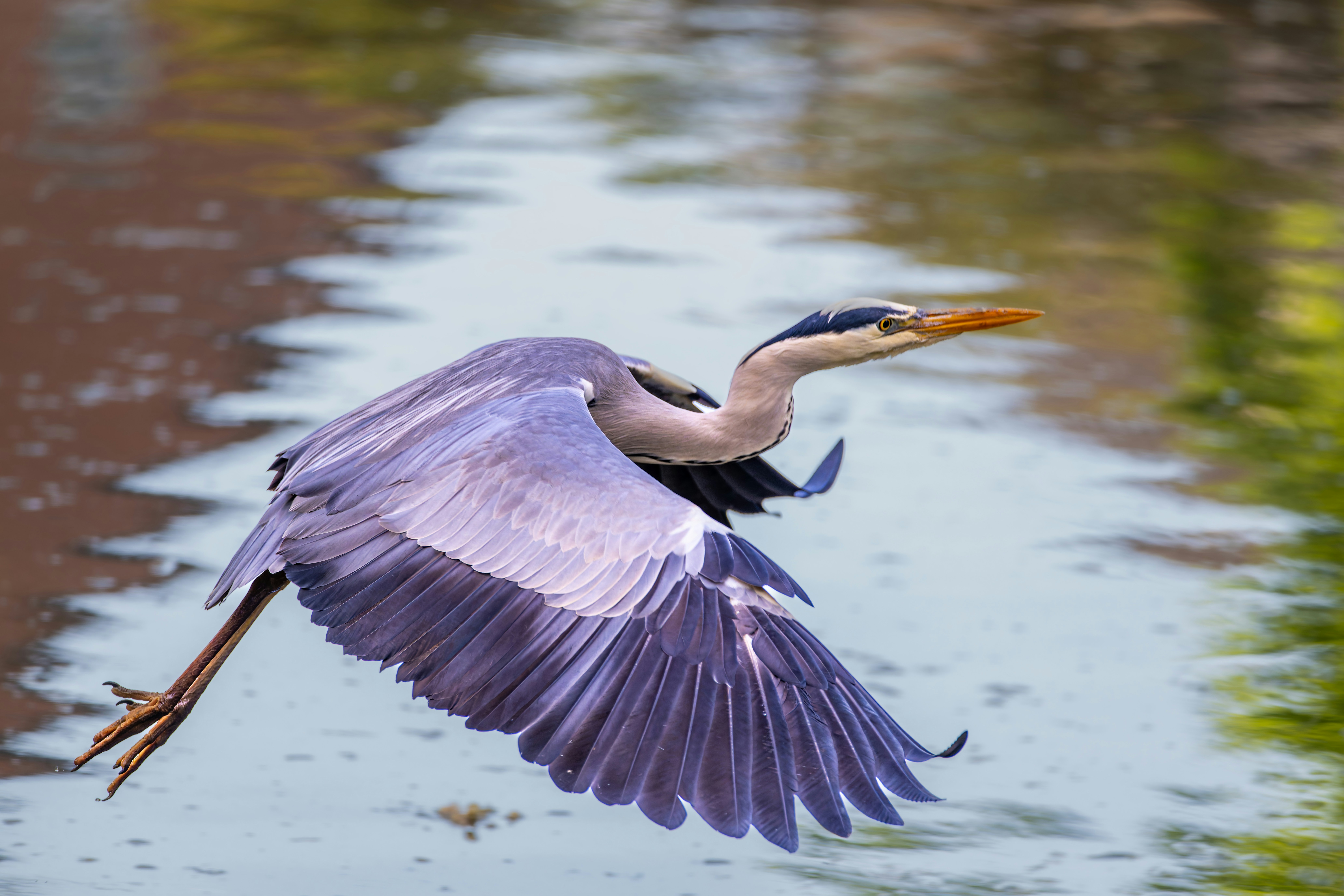 Photo by siegfriedpoepperl