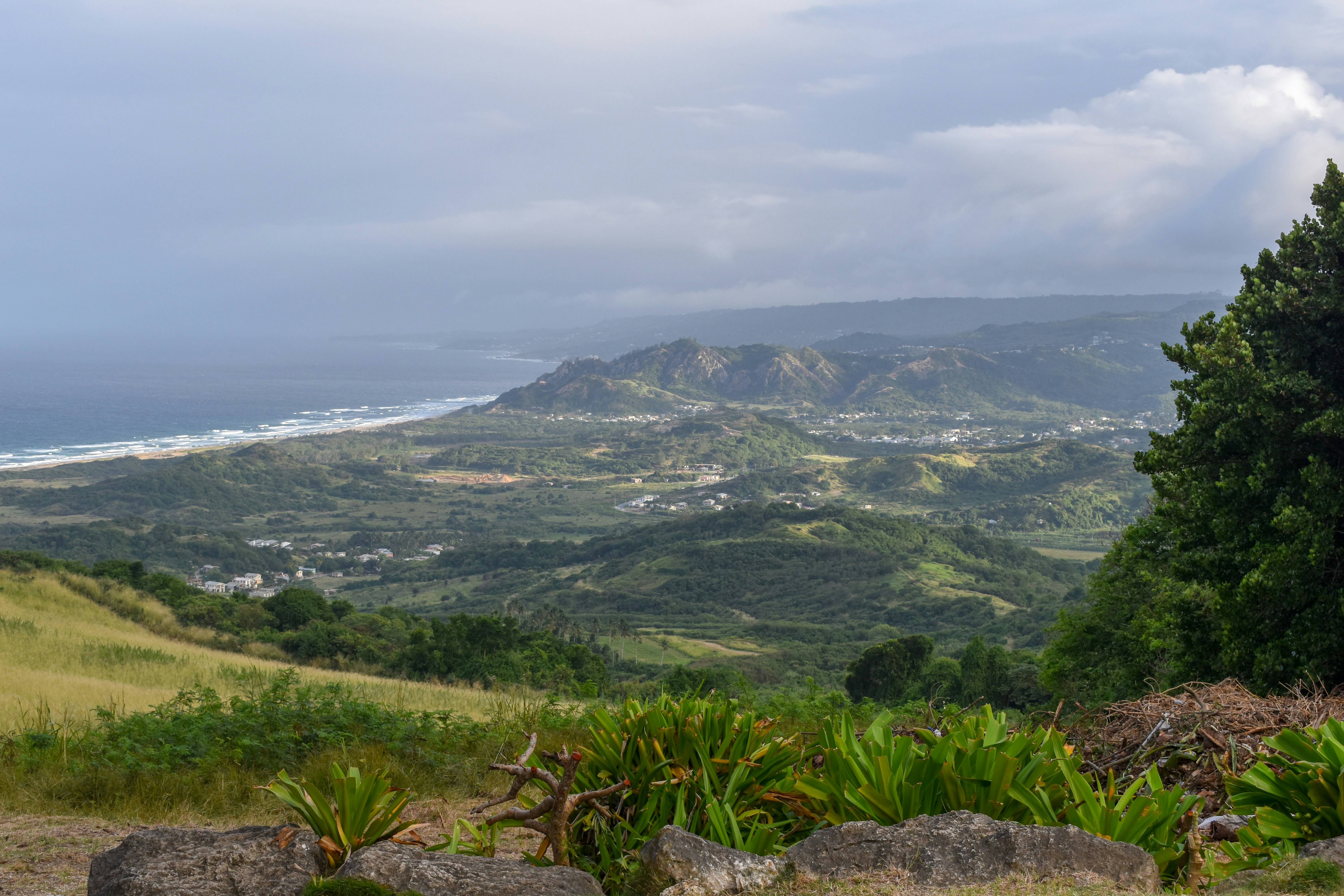 Paysage côtier verdoyant