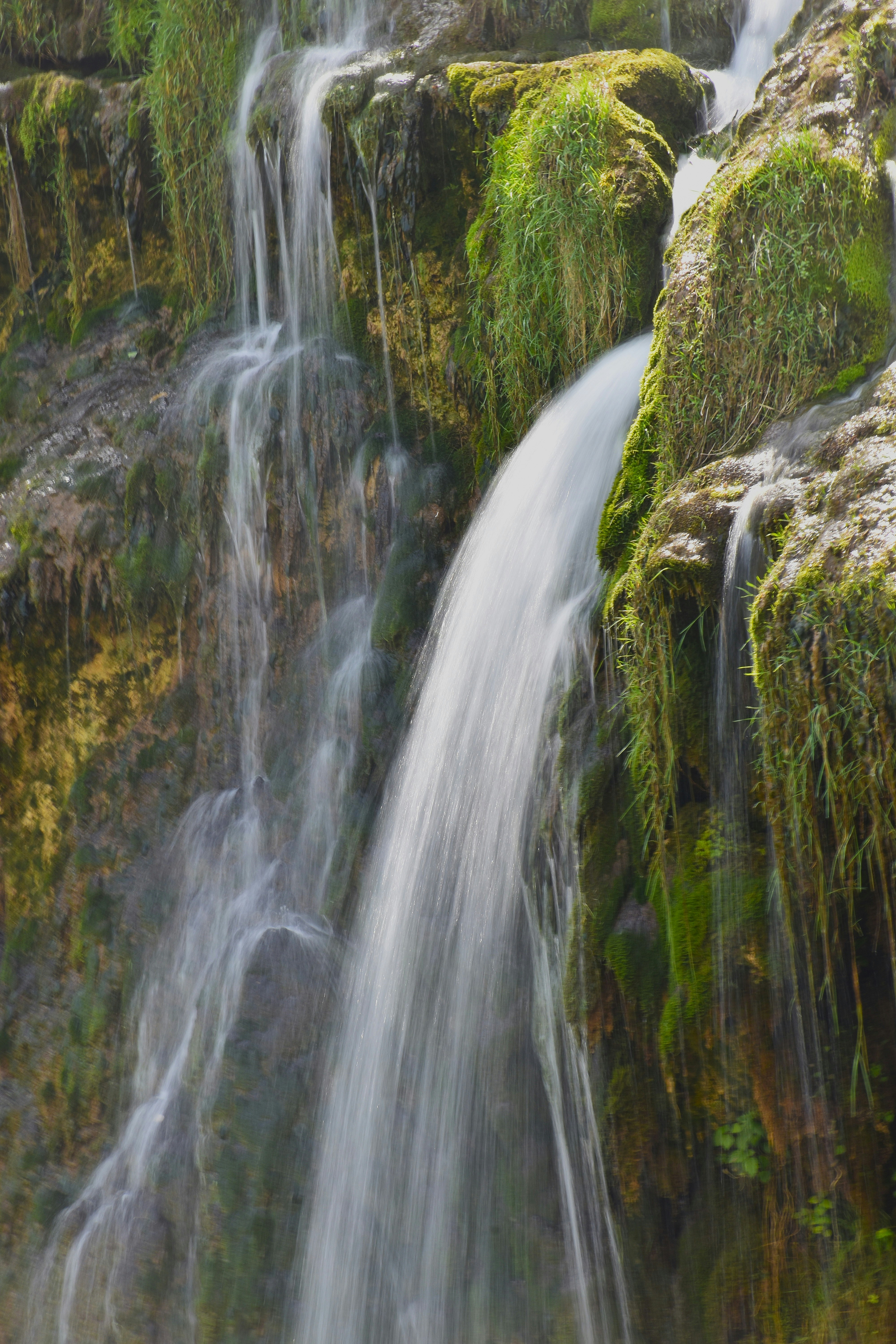 Photo by znphotogarphy