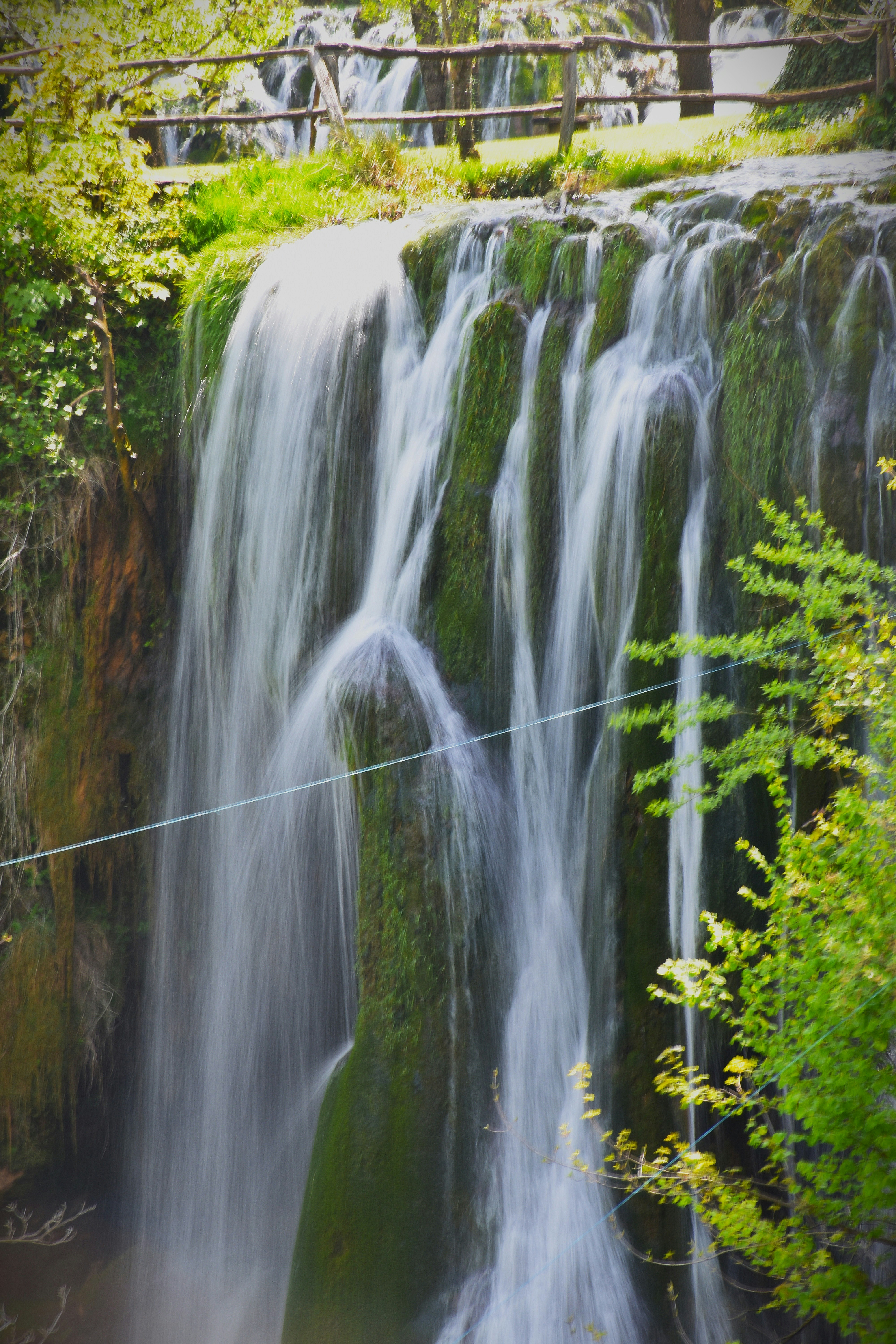 Photo by znphotogarphy