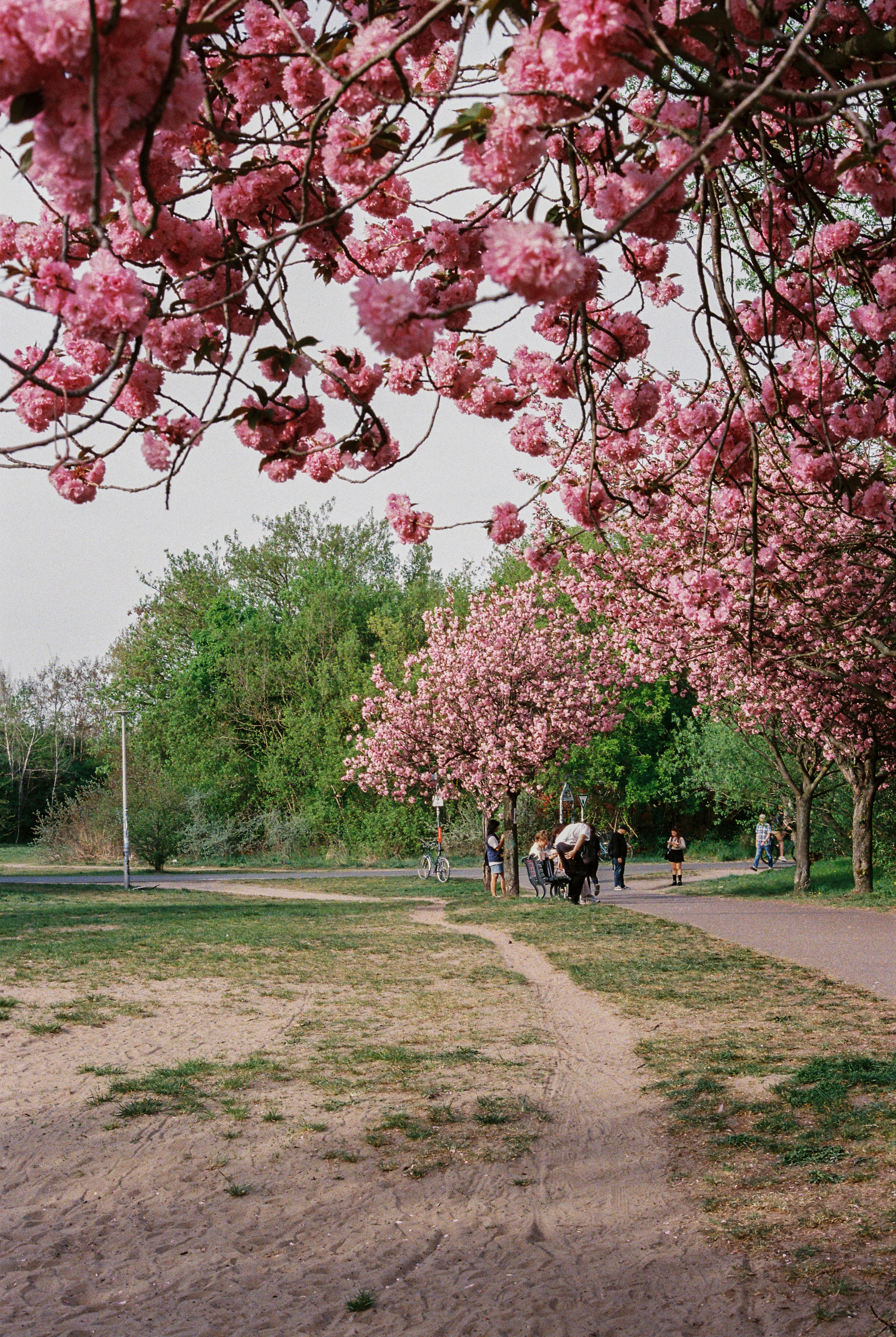 Photo by luca_severin