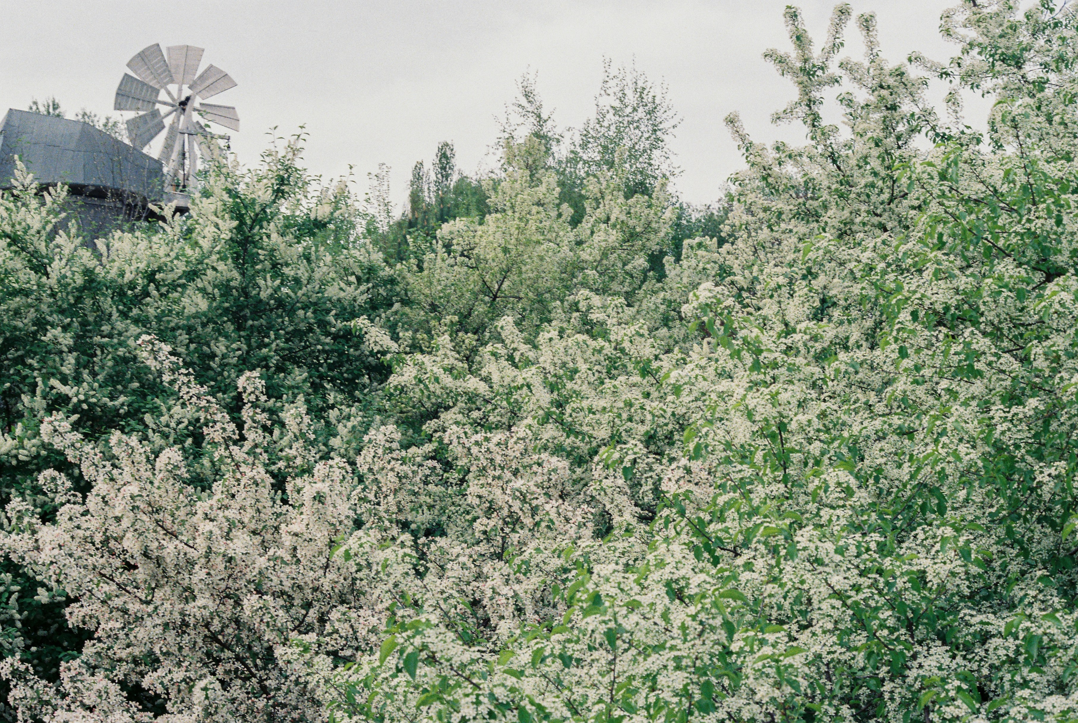 Photo by luca_severin