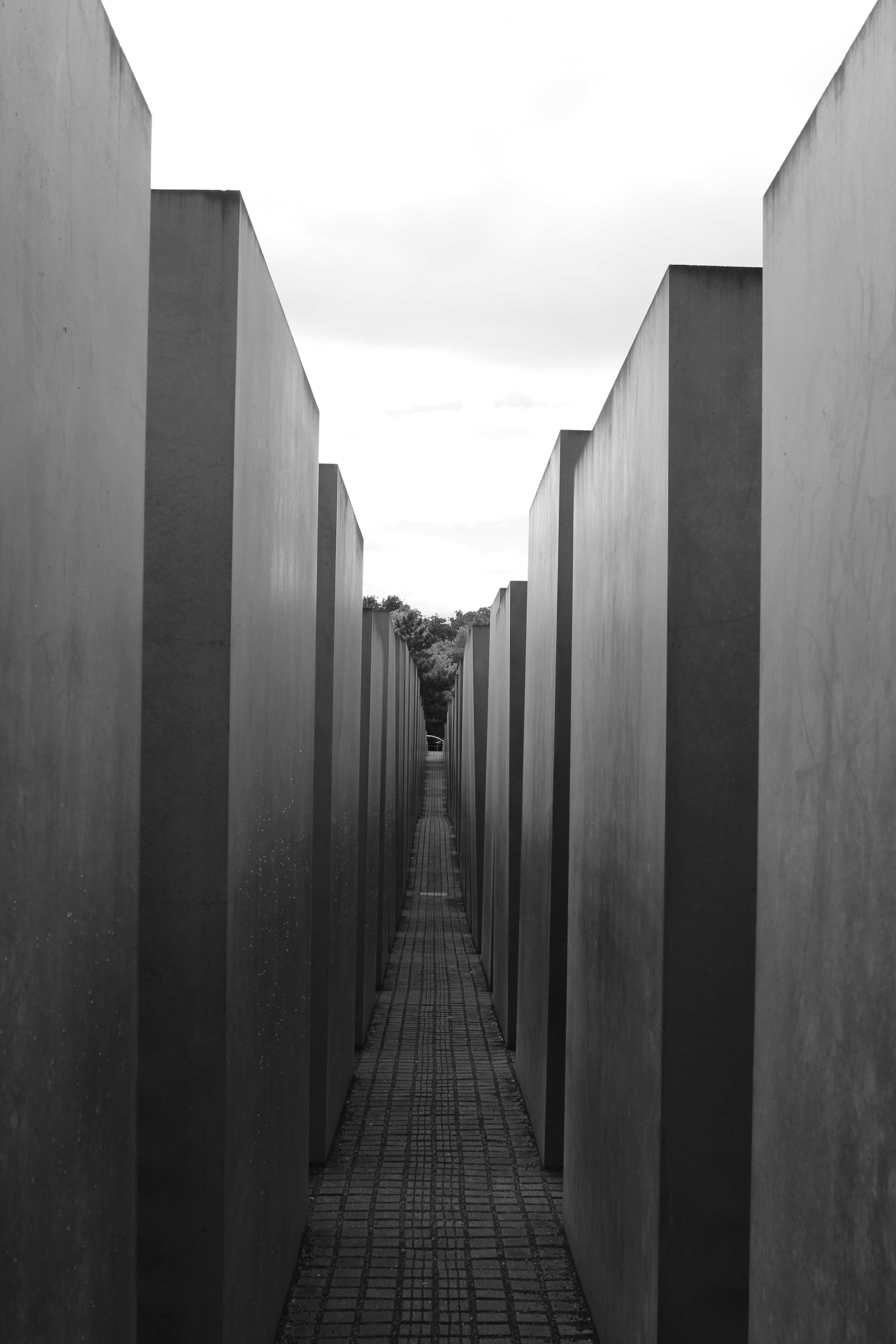 Photo by amirarsalan93