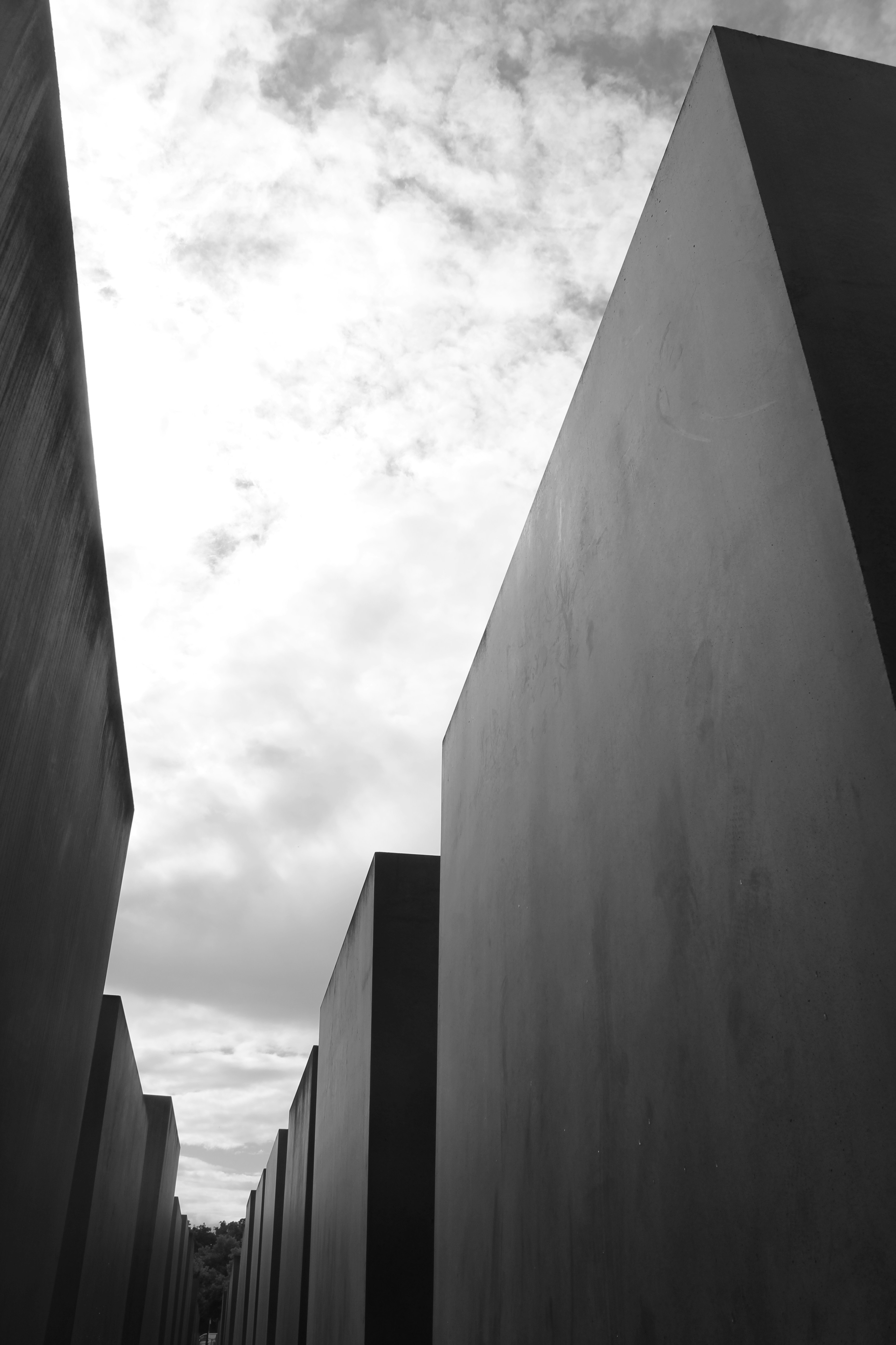 Photo by amirarsalan93