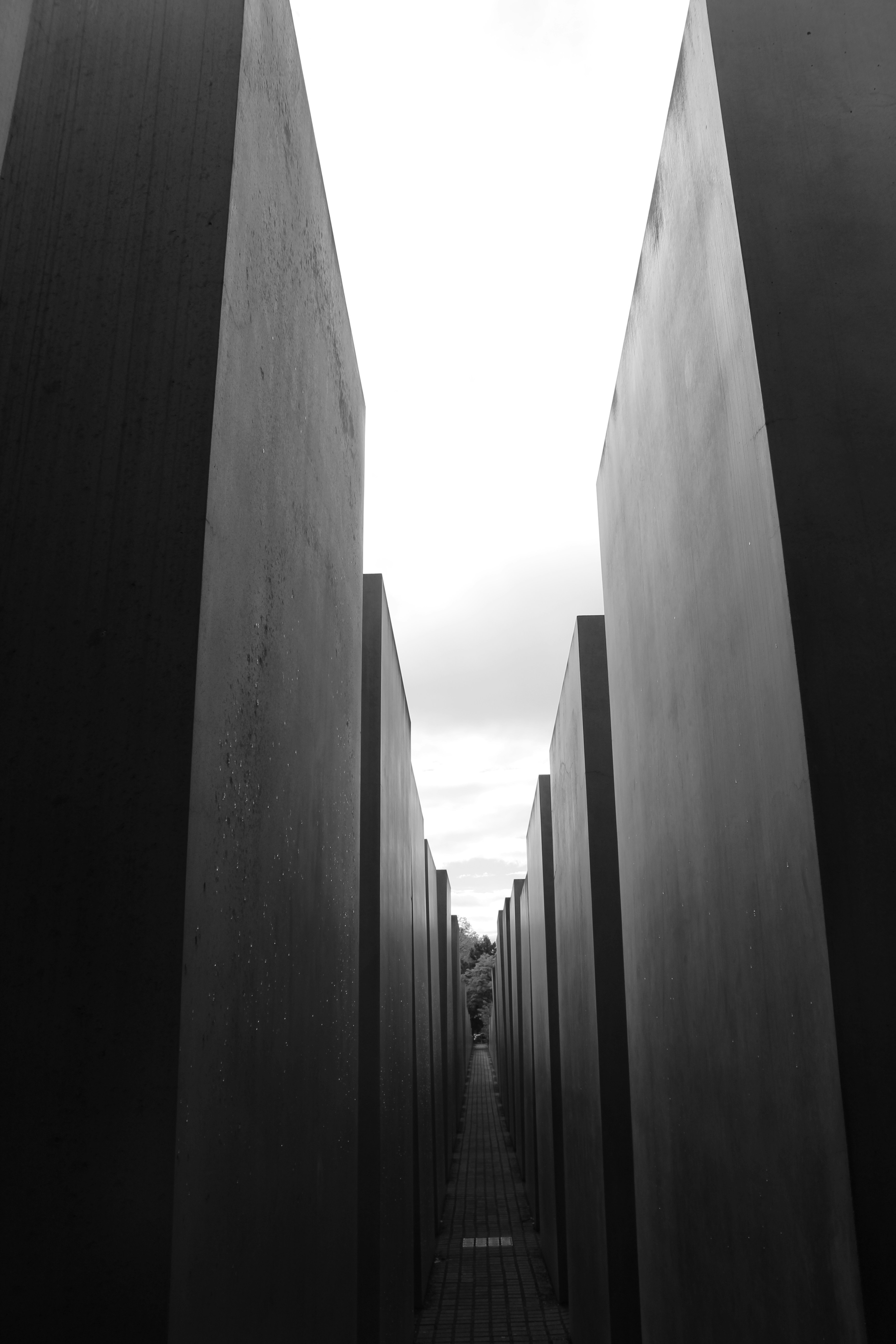 Photo by amirarsalan93