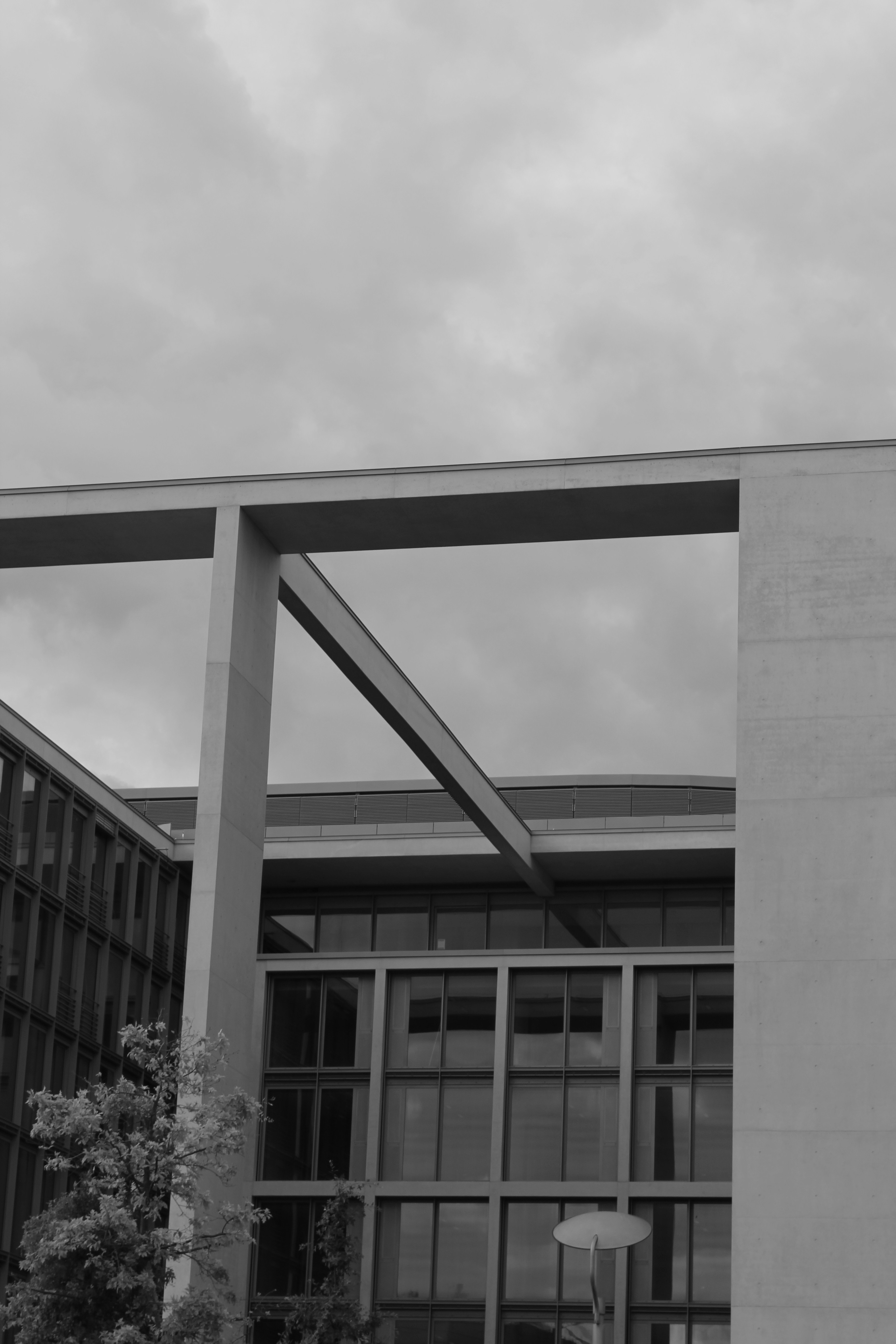 Photo by amirarsalan93