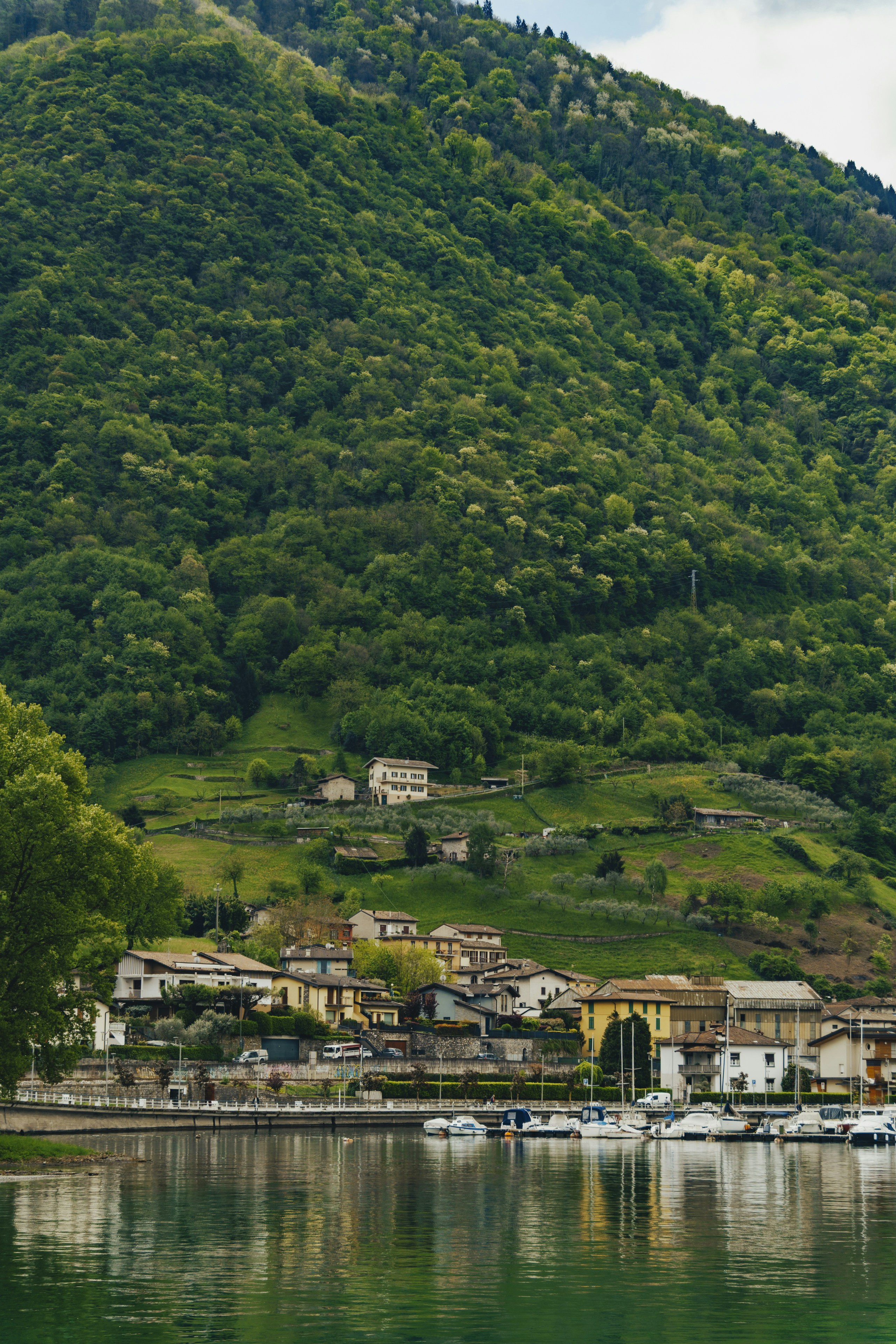 Photo by dawidtkocz