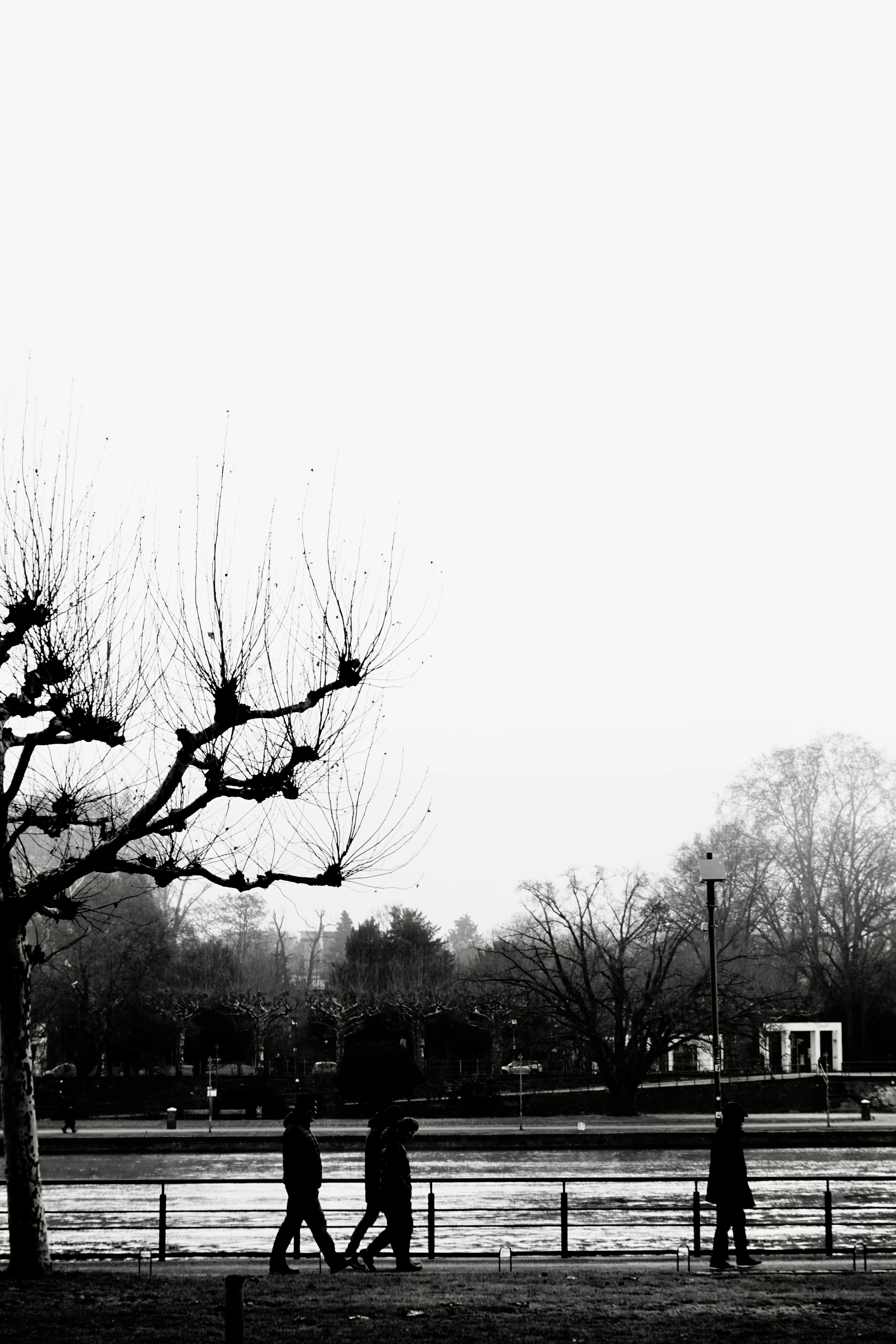Photo by wandernie