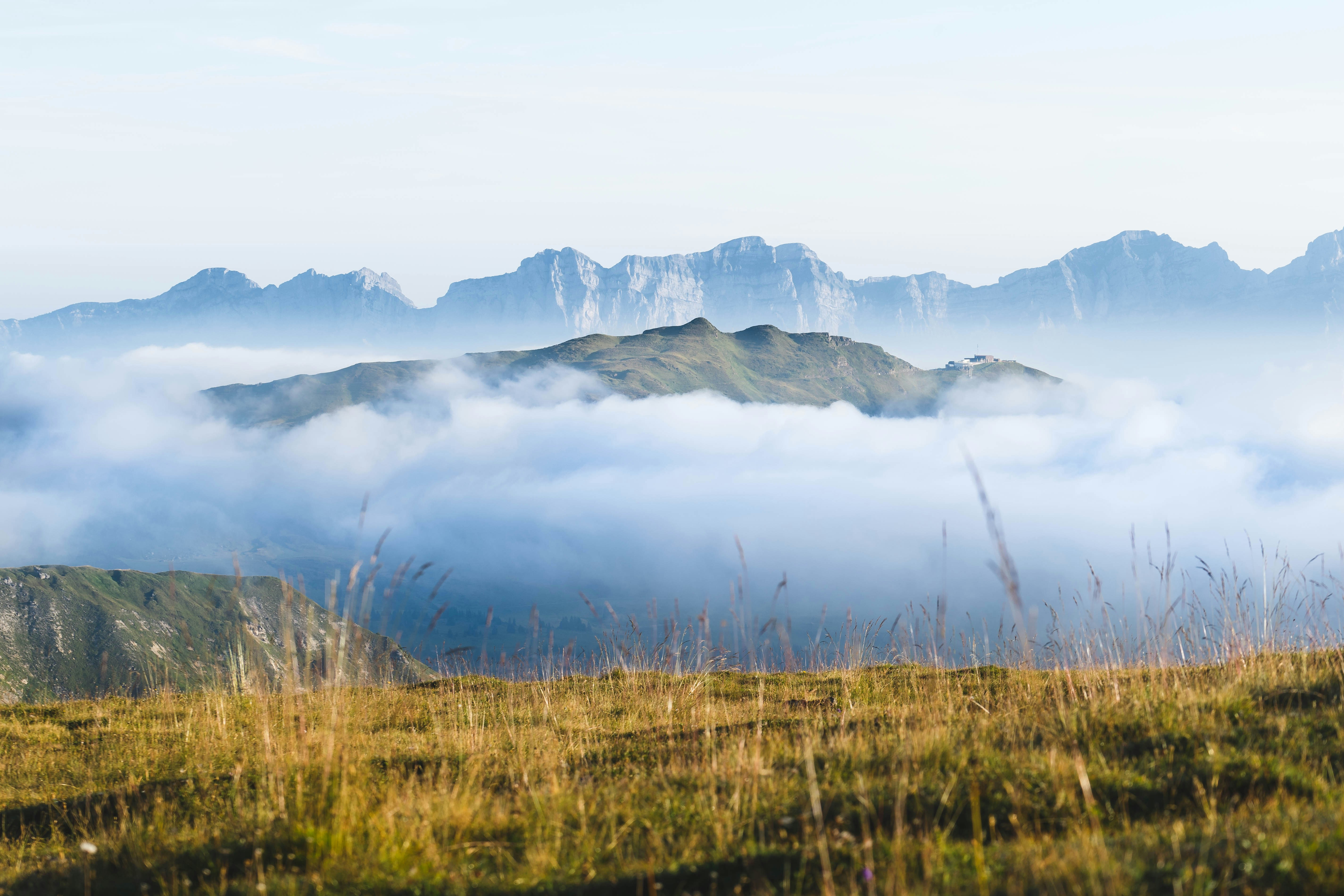 Discover The Important Steps To Consider Before, Throughout, And After Custom Lens Replacement Surgical Treatment To Advertise A Smooth Recovery Process