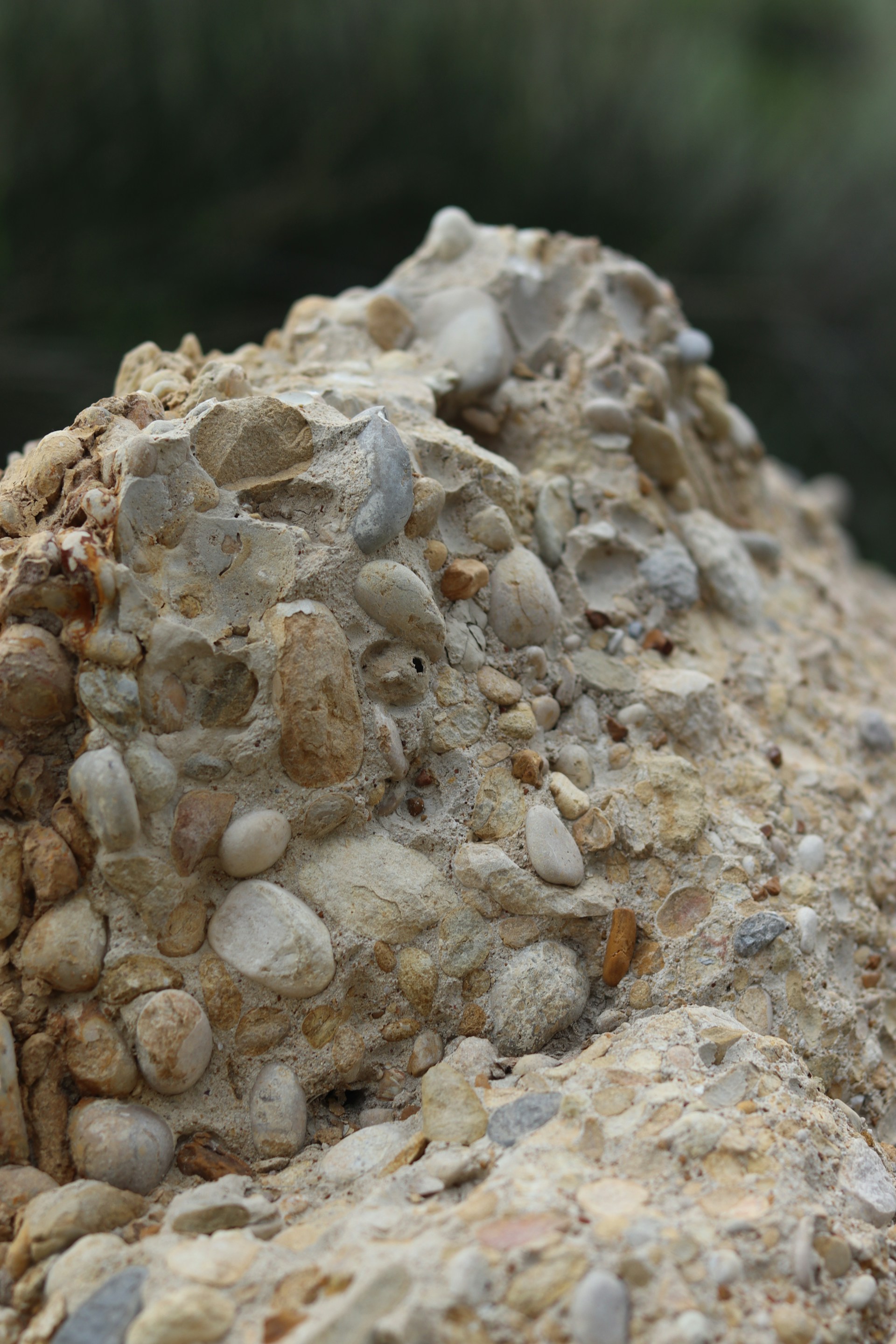 A close-up shows a conglomerate rock formation.