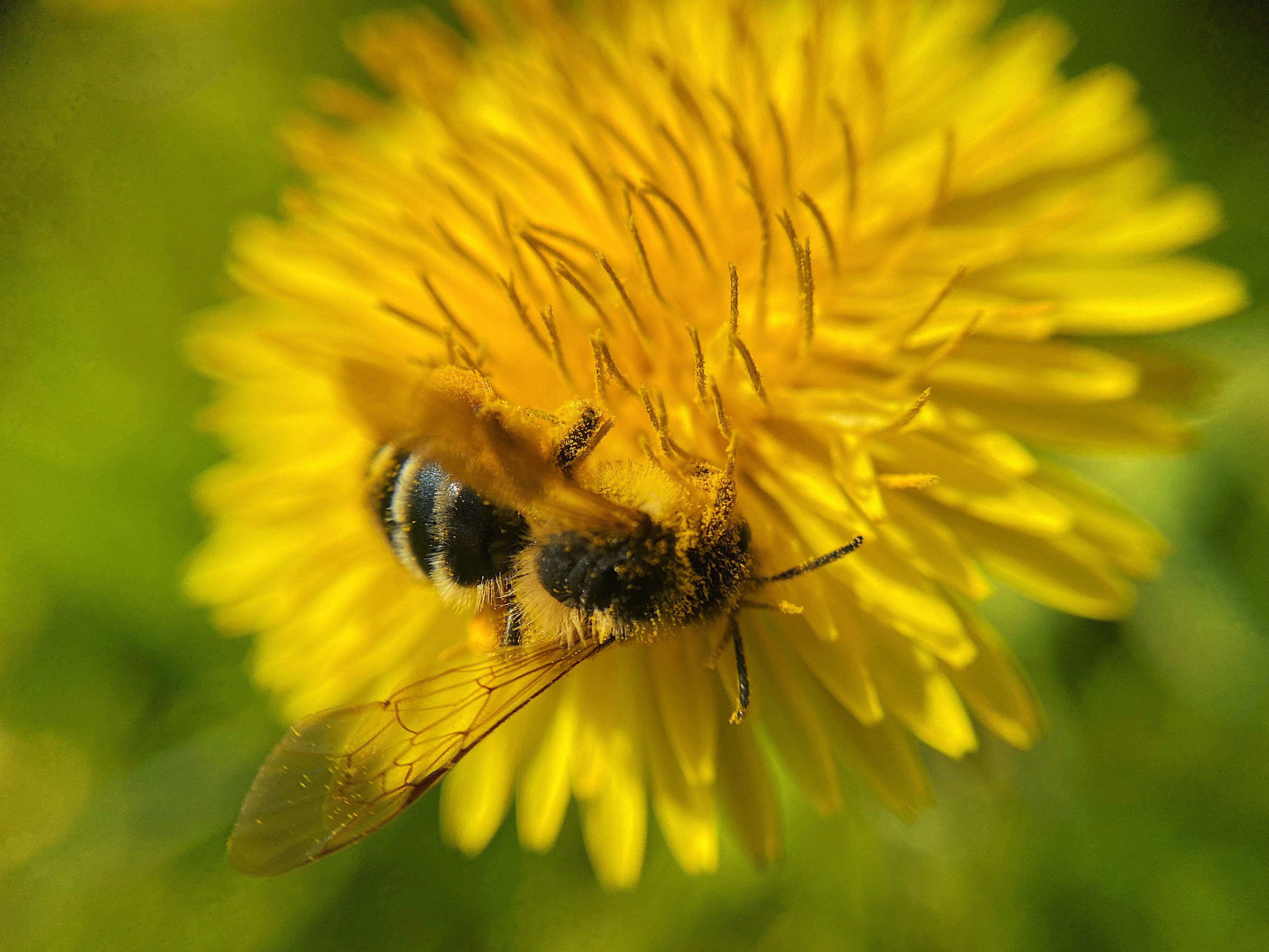 Photo by dariuscotoi