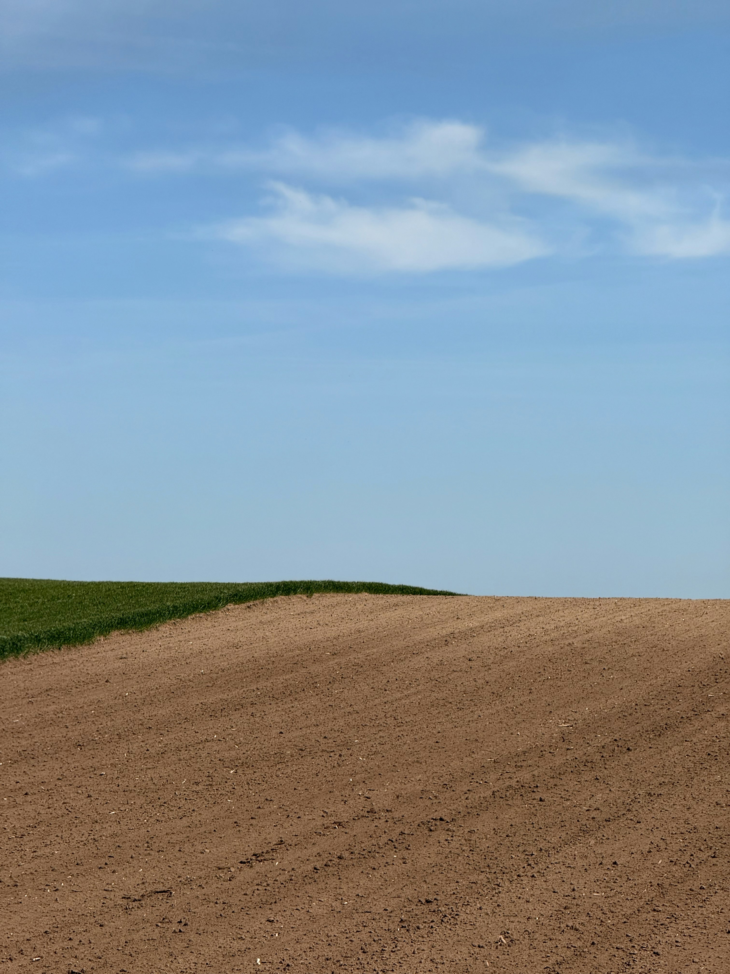 Photo by danilkinkin