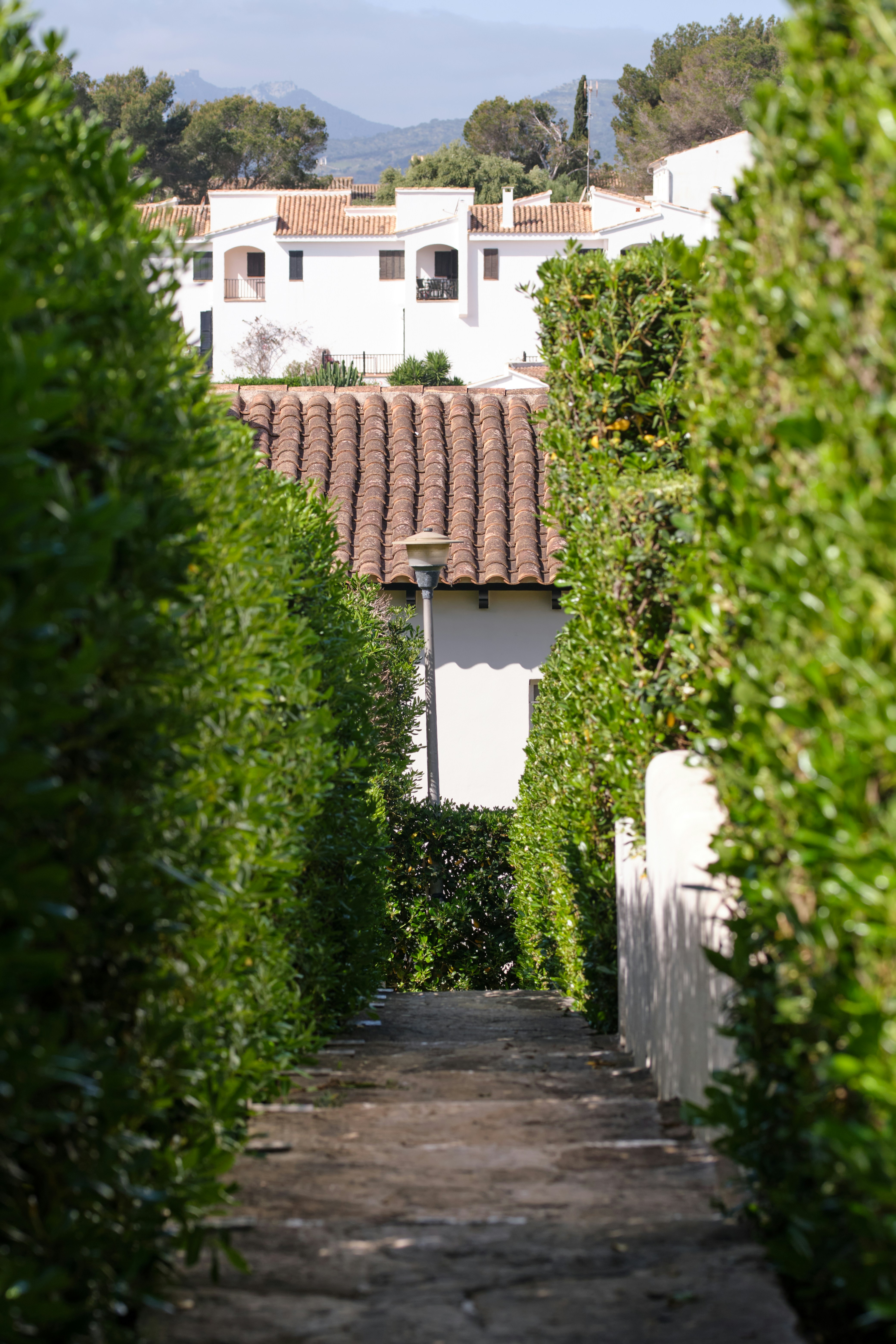 Photo by timschmidbauer