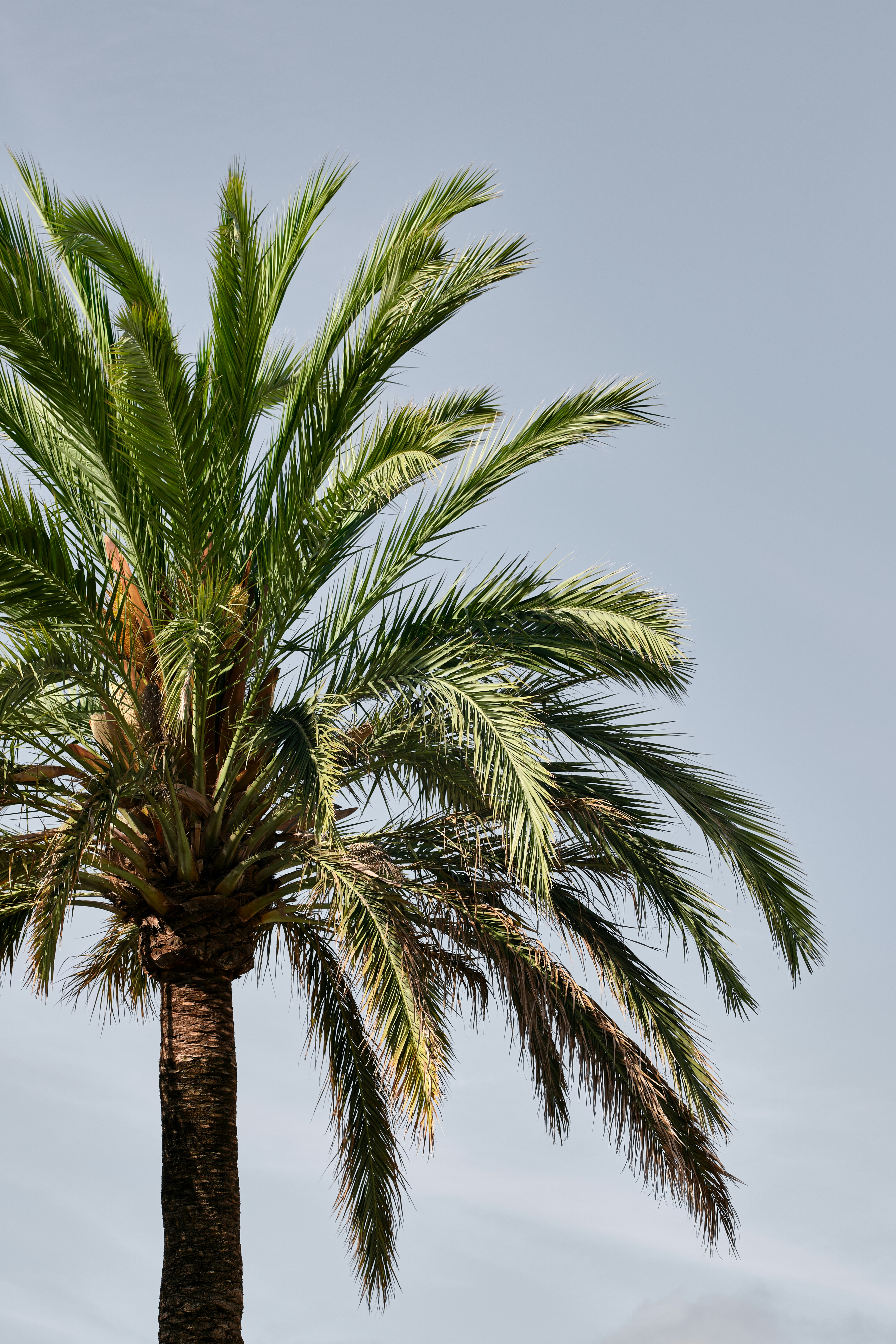 Photo by timschmidbauer