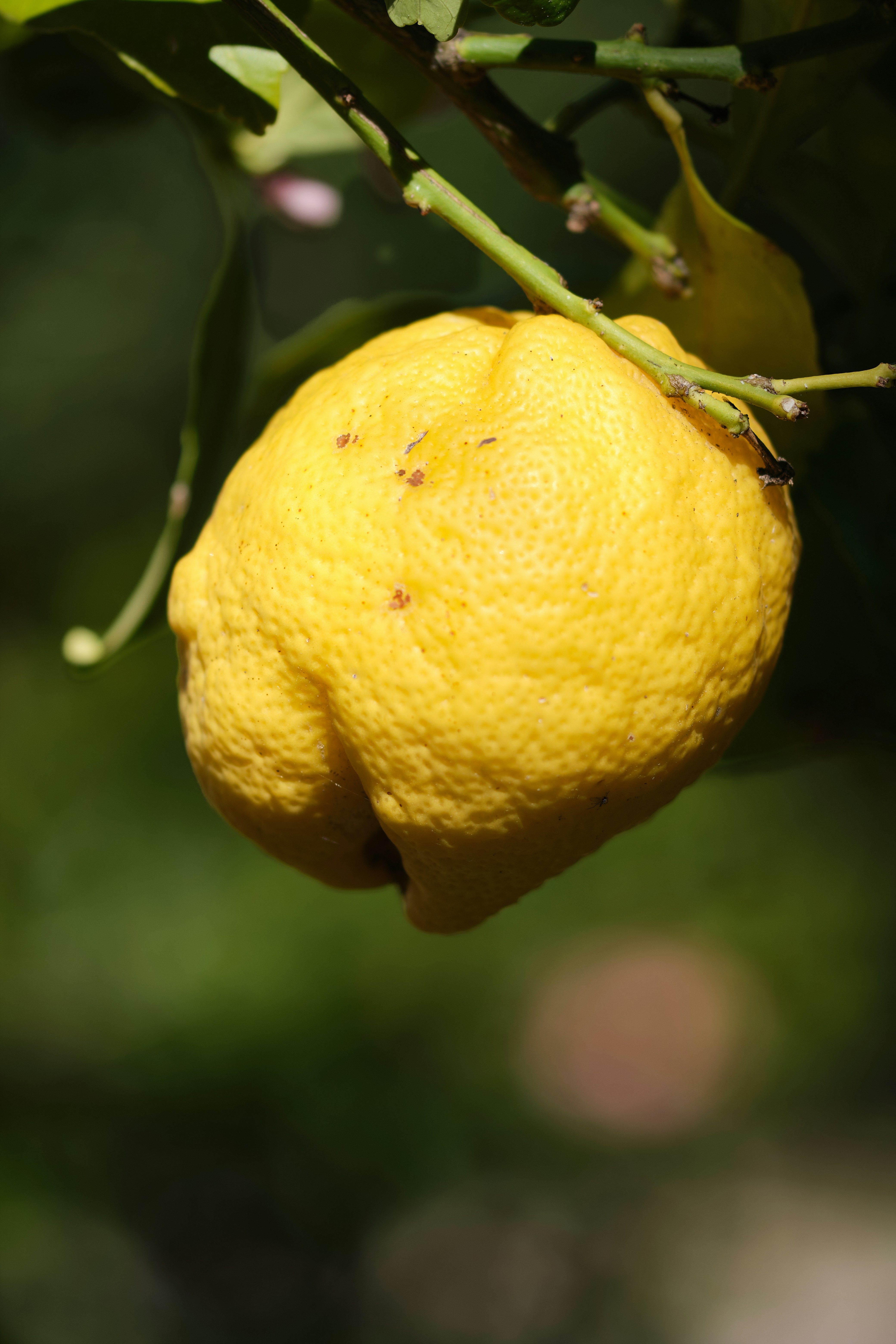 Photo by timschmidbauer