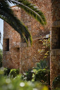 Stone buildings with palm fronds frame the shot.