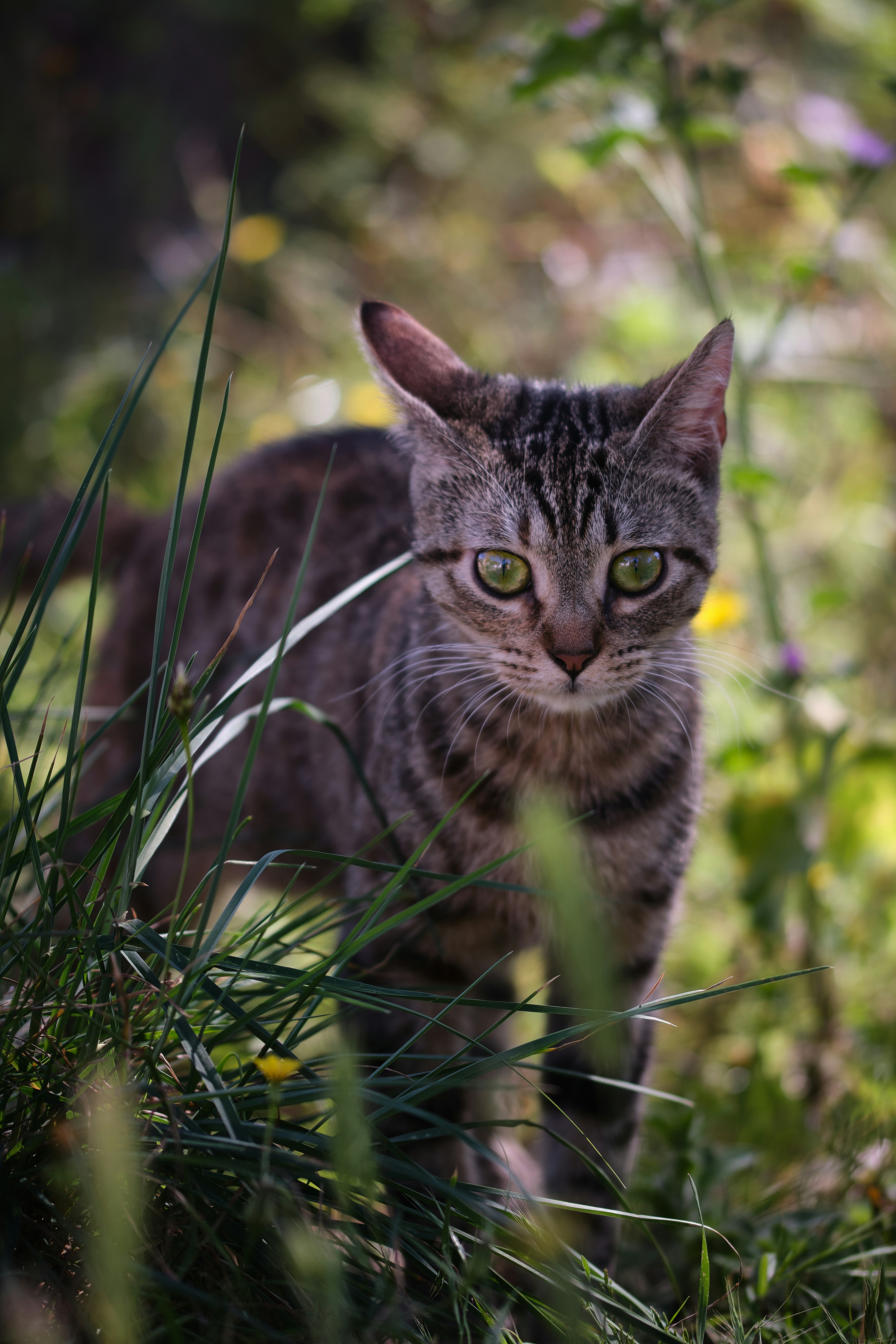 Photo by timschmidbauer