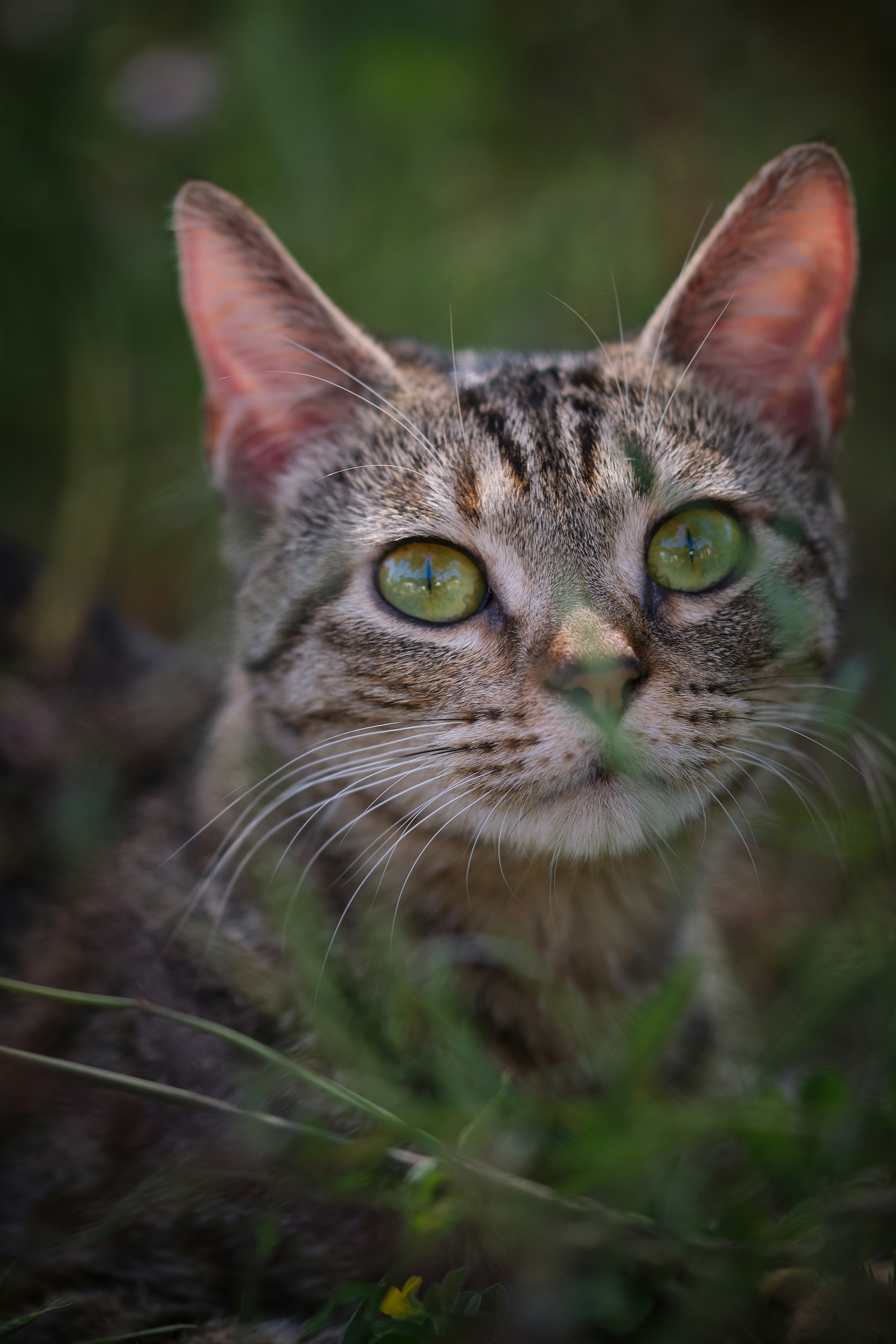 Photo by timschmidbauer