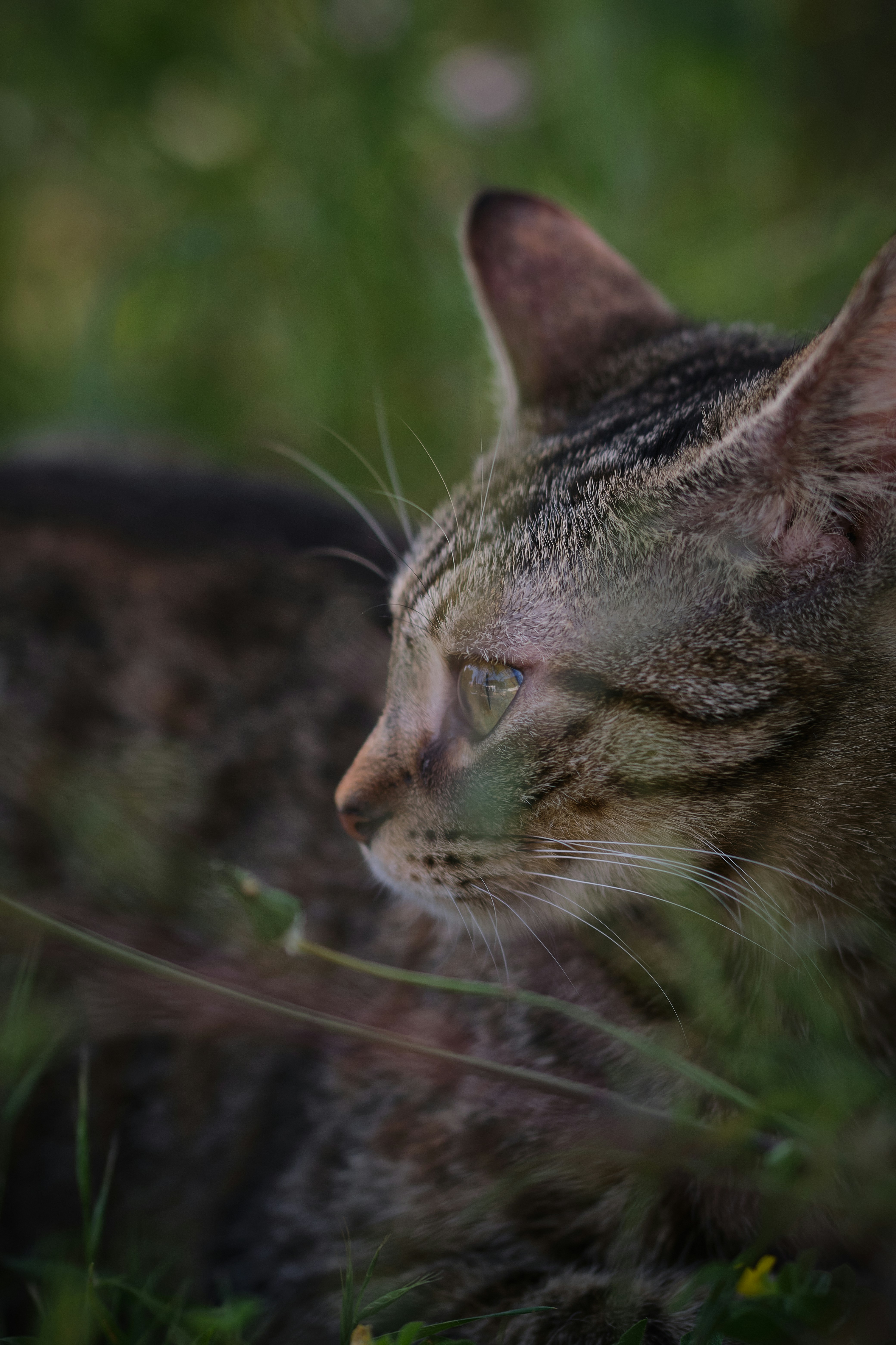 Photo by timschmidbauer