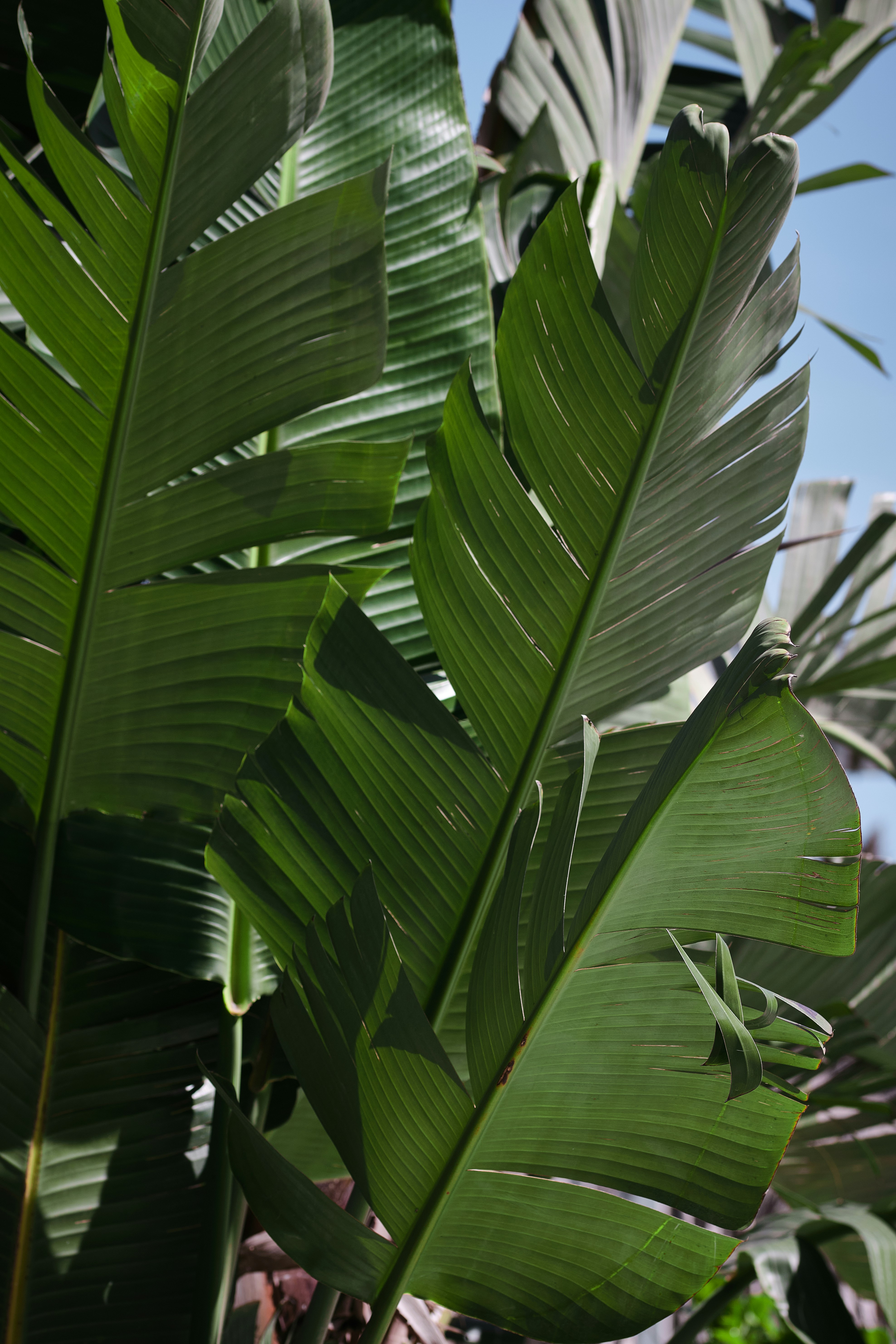 Photo by timschmidbauer