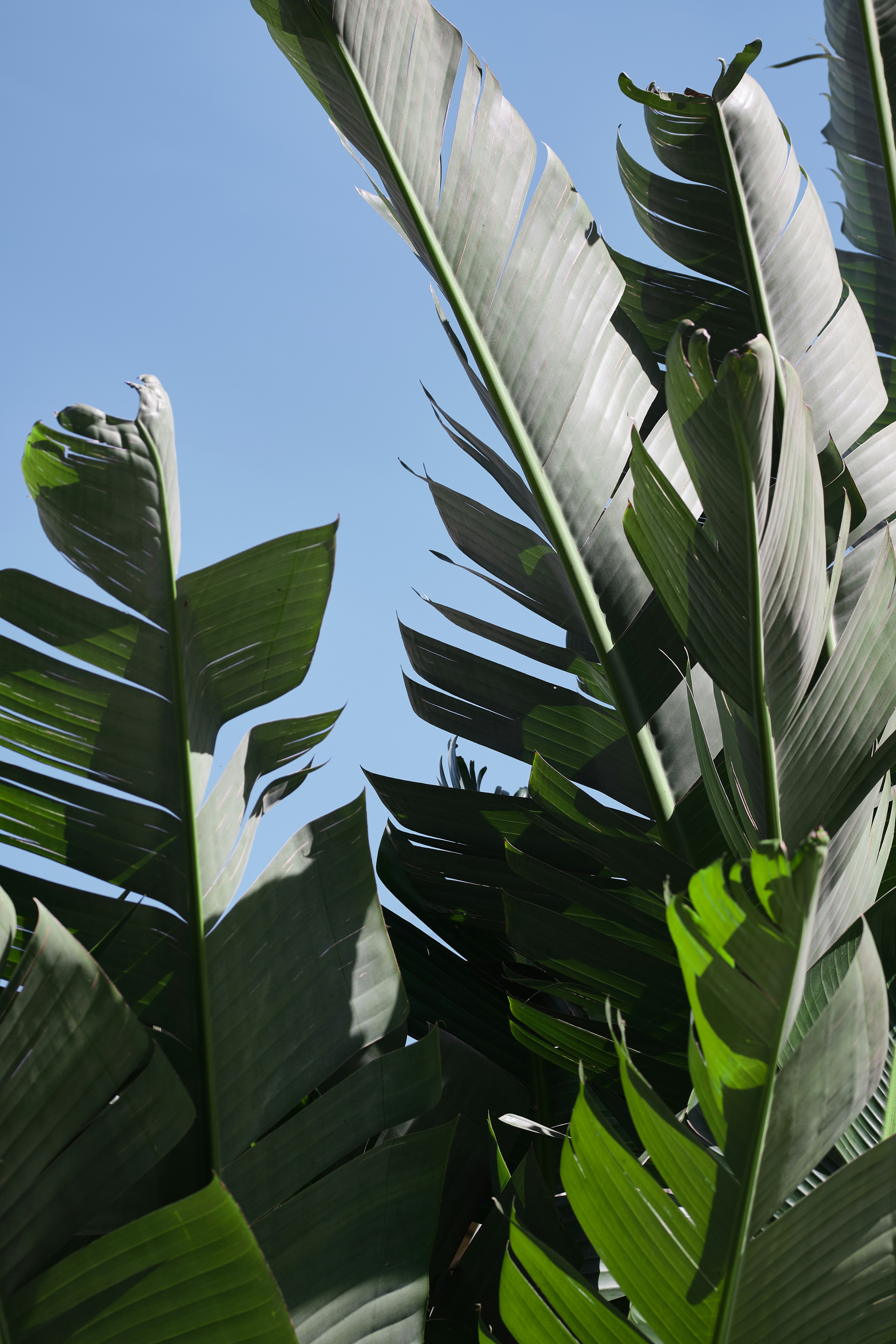 Photo by timschmidbauer