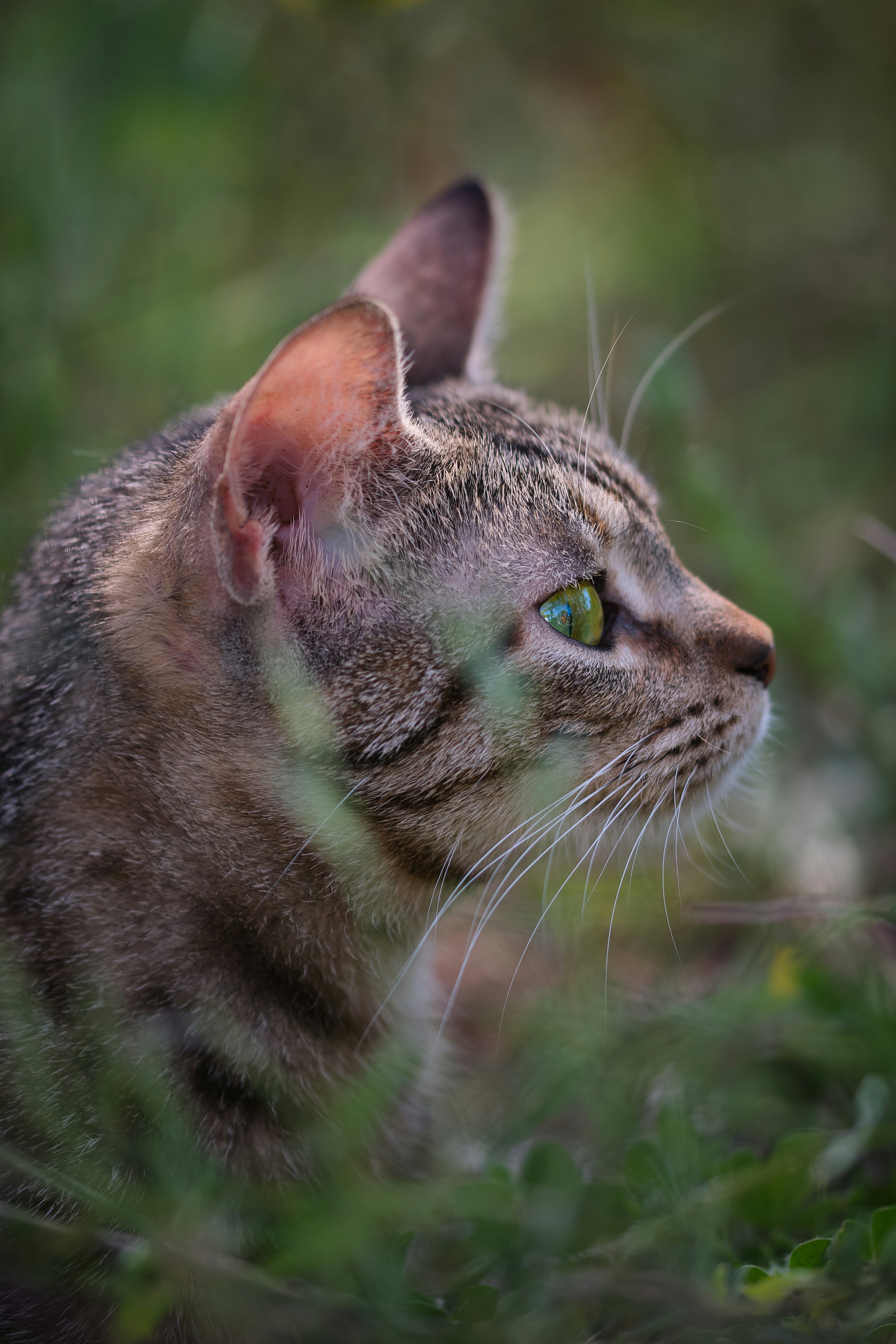 Photo by timschmidbauer