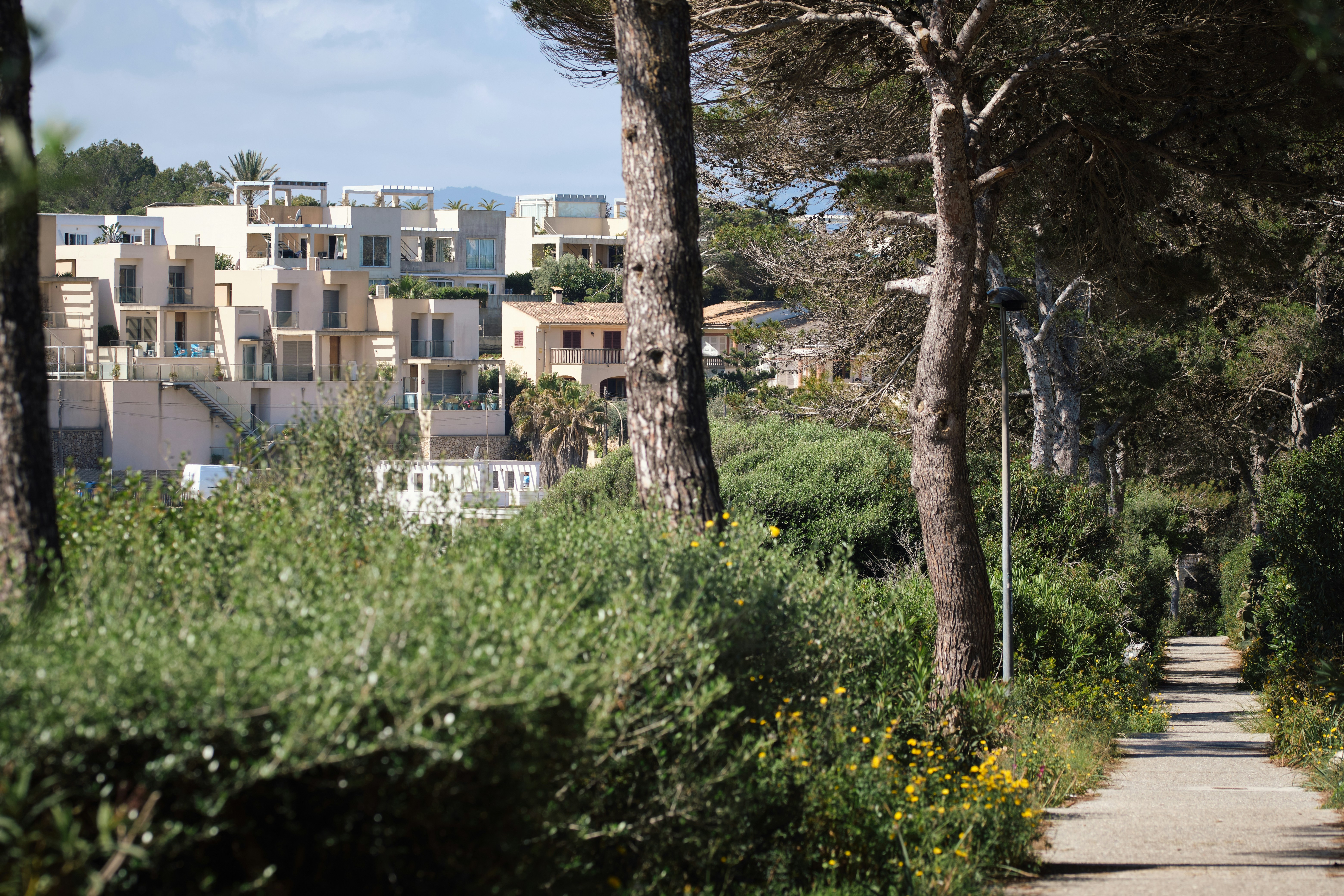 Photo by timschmidbauer