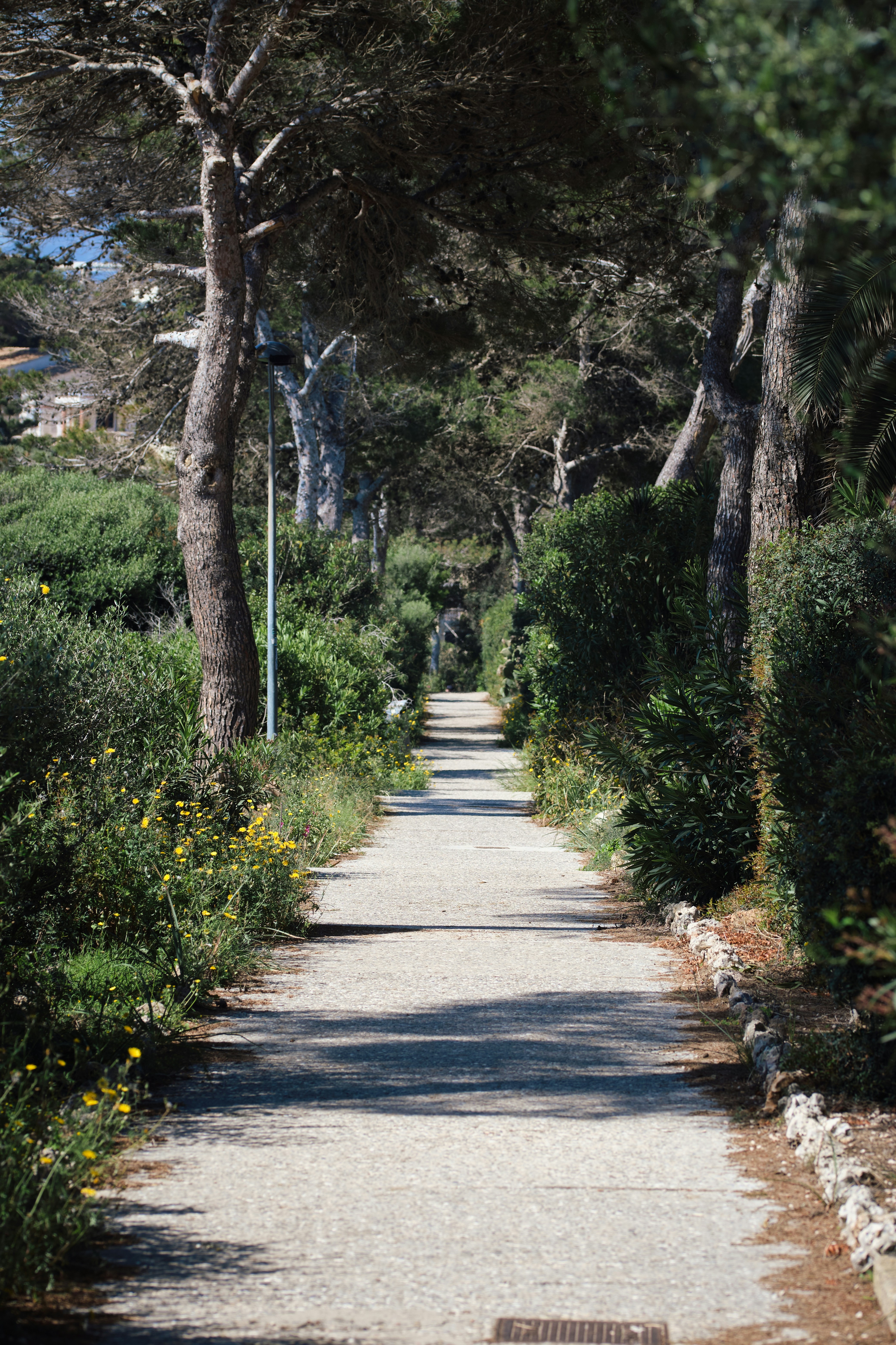 Photo by timschmidbauer