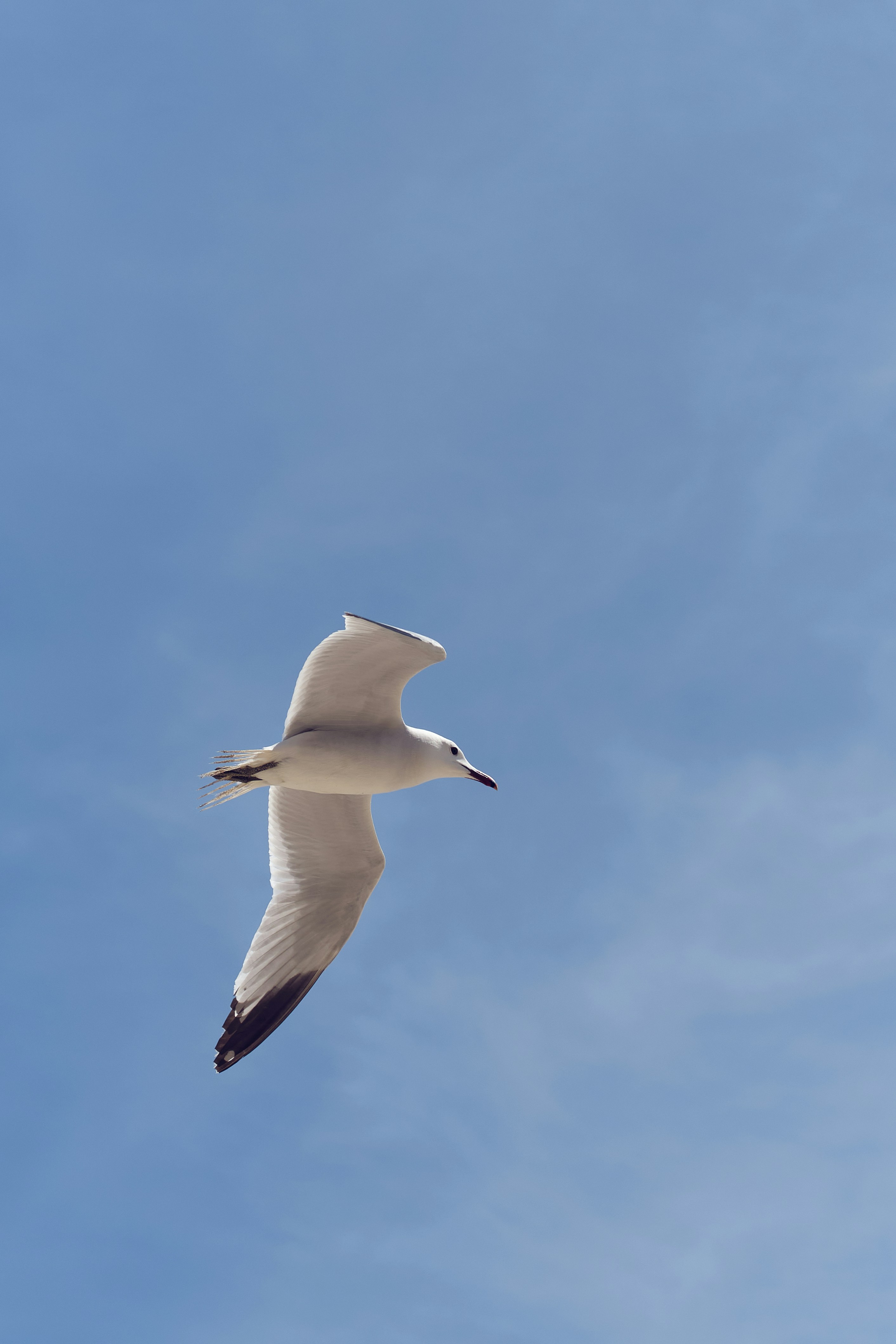 Photo by timschmidbauer