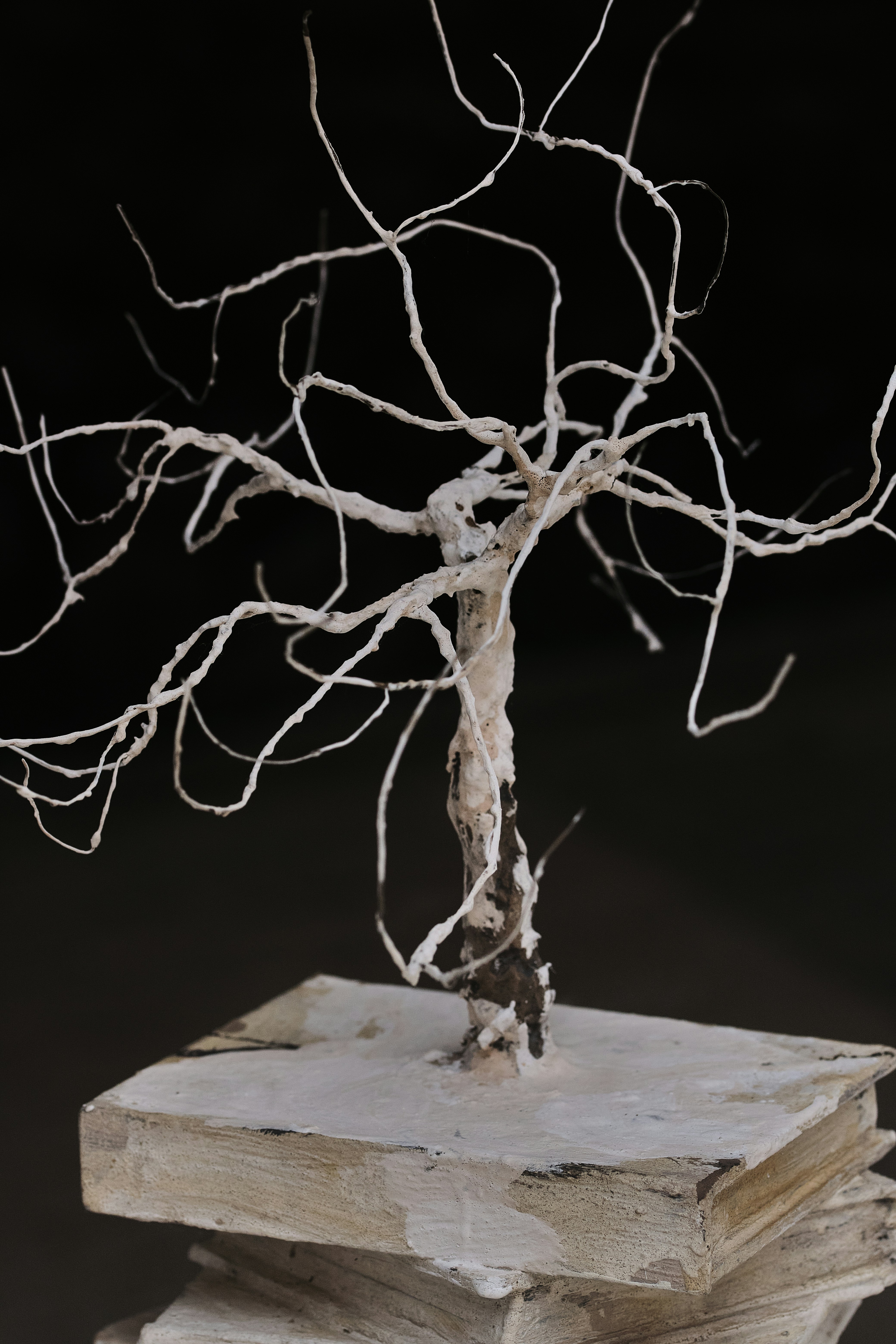 Photo by timschmidbauer