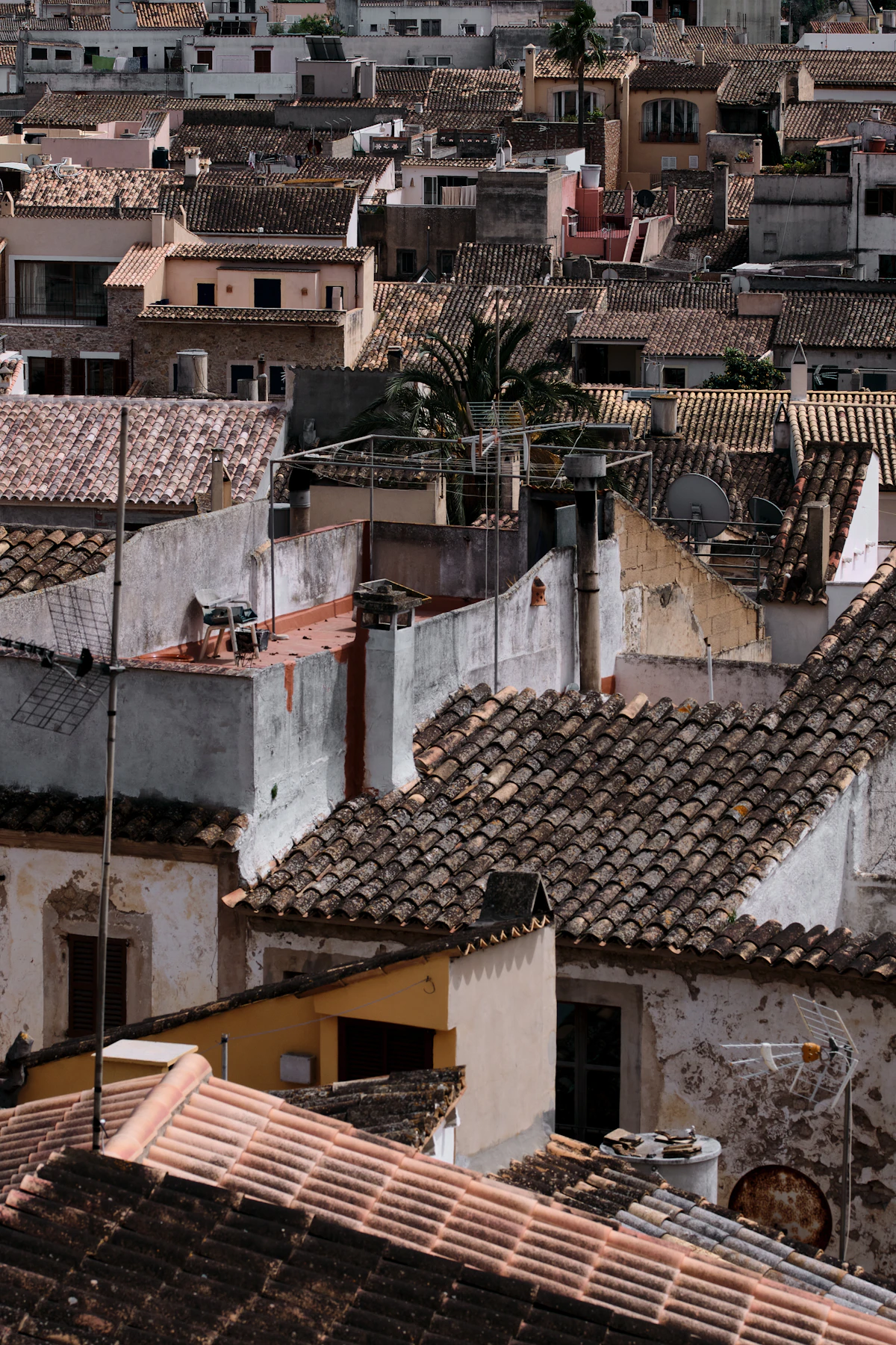 Cubiertas y terrazas de edificios en entorno mediterráneo